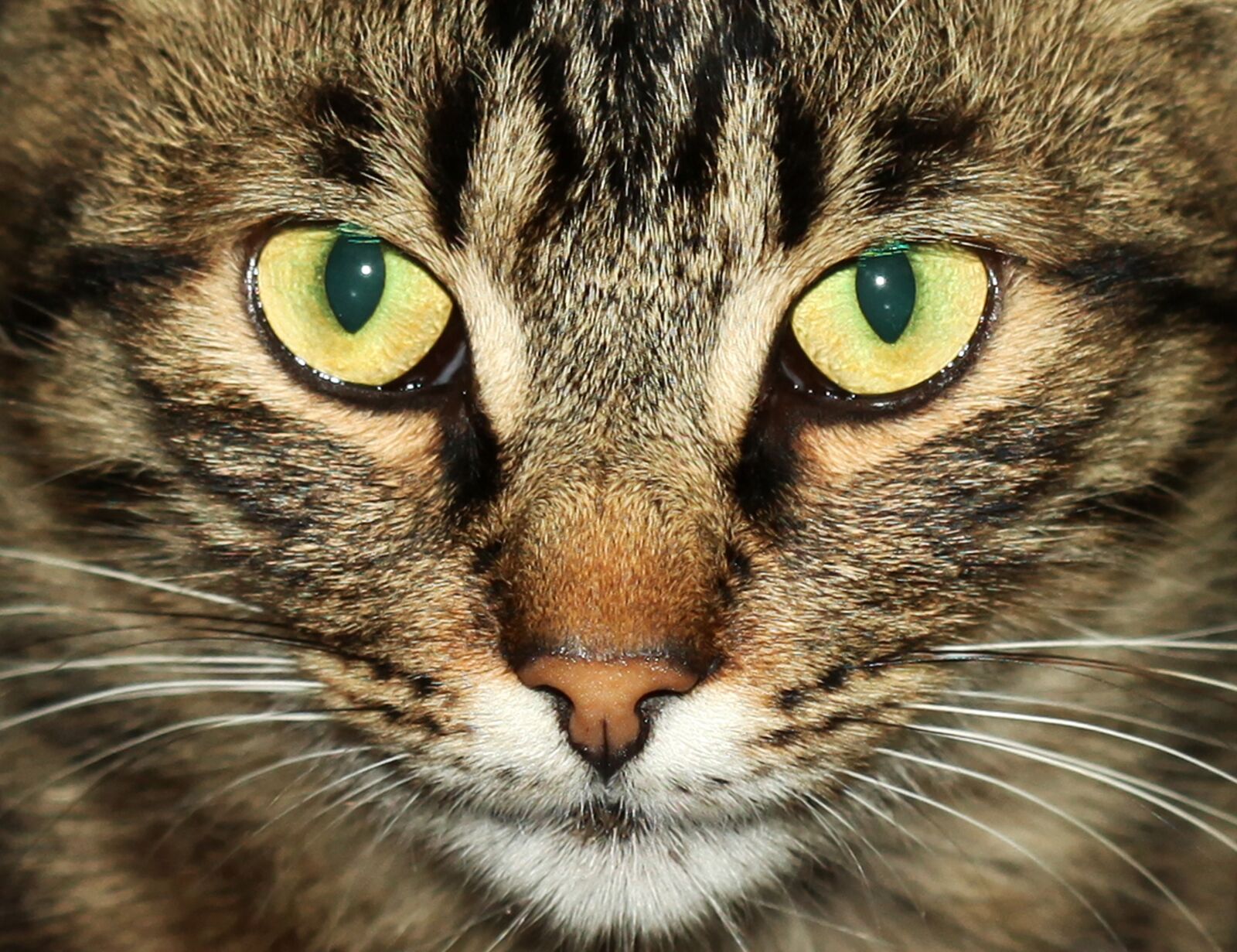 Canon EOS 5D Mark II sample photo