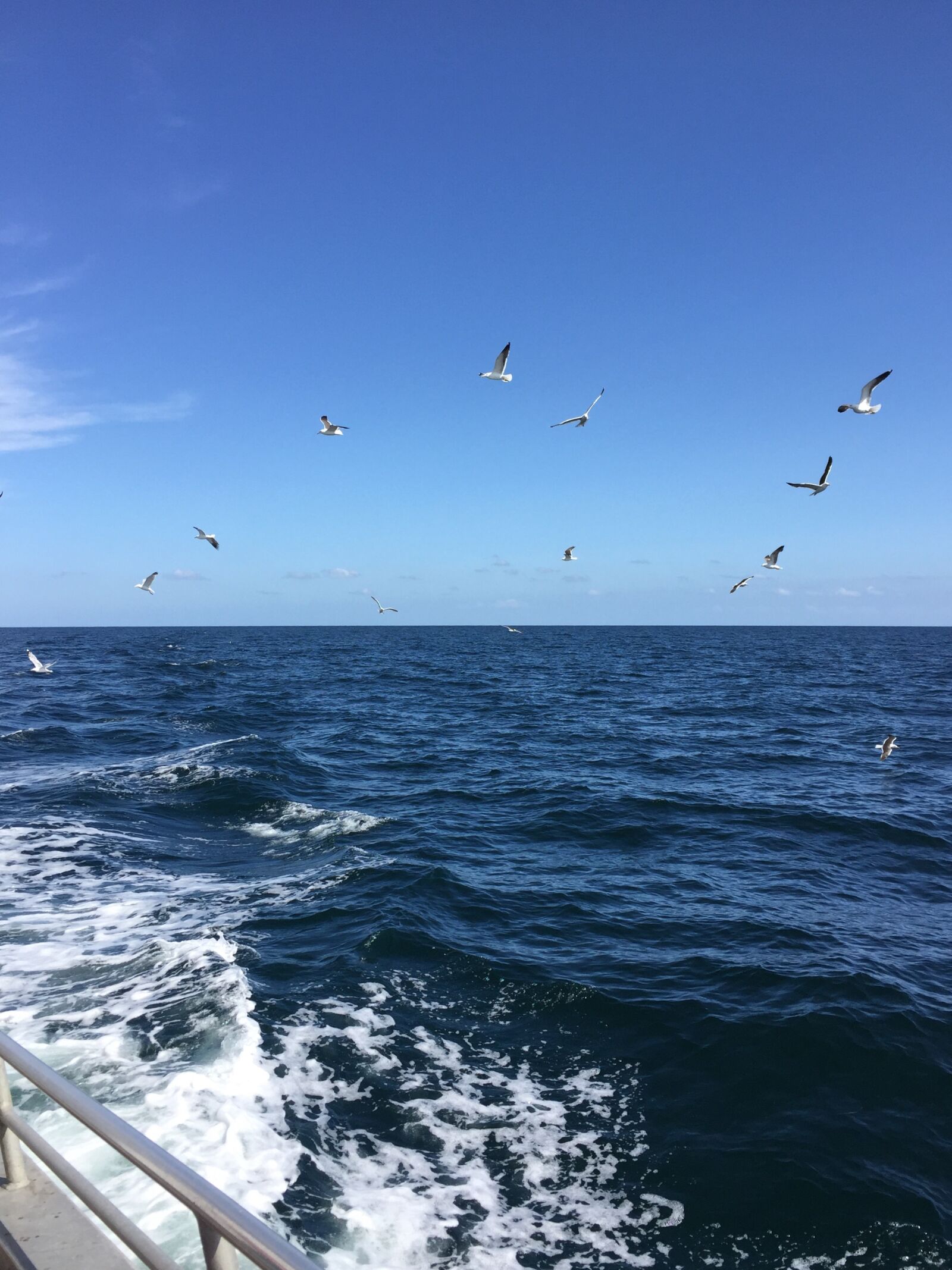 iPhone 6 back camera 4.15mm f/2.2 sample photo. Ship, boat, sea photography