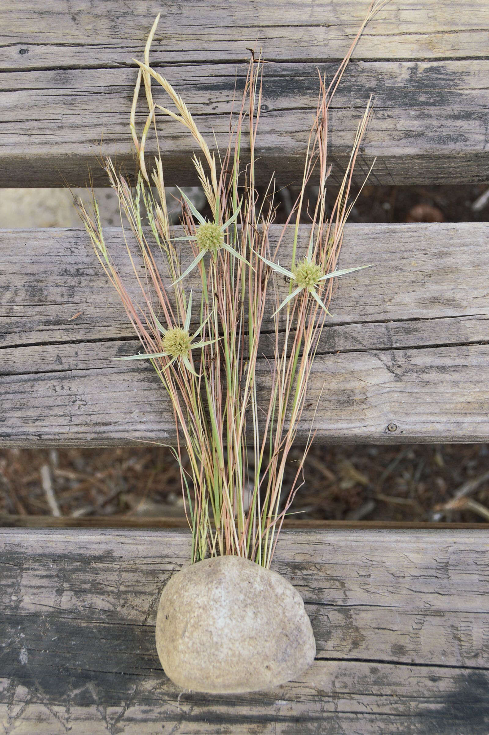 Nikon D3200 sample photo. Background rustic, wood, rustic photography