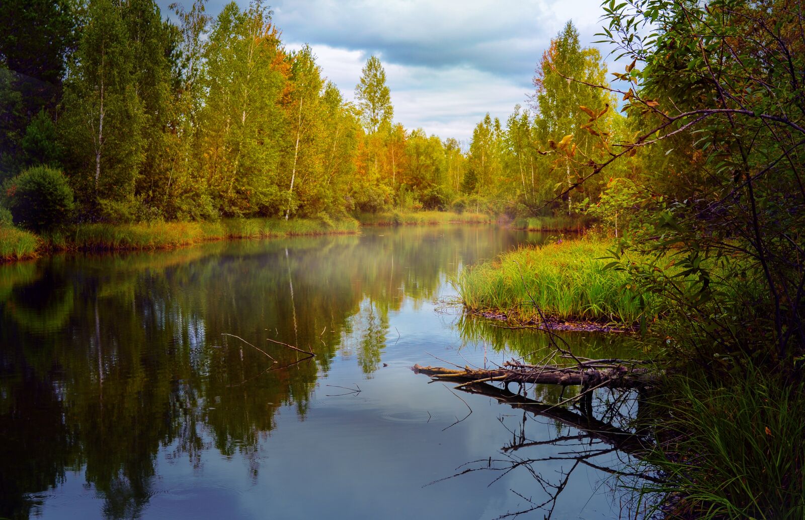 Nikon D5000 sample photo. Autumn, landscape, pond photography