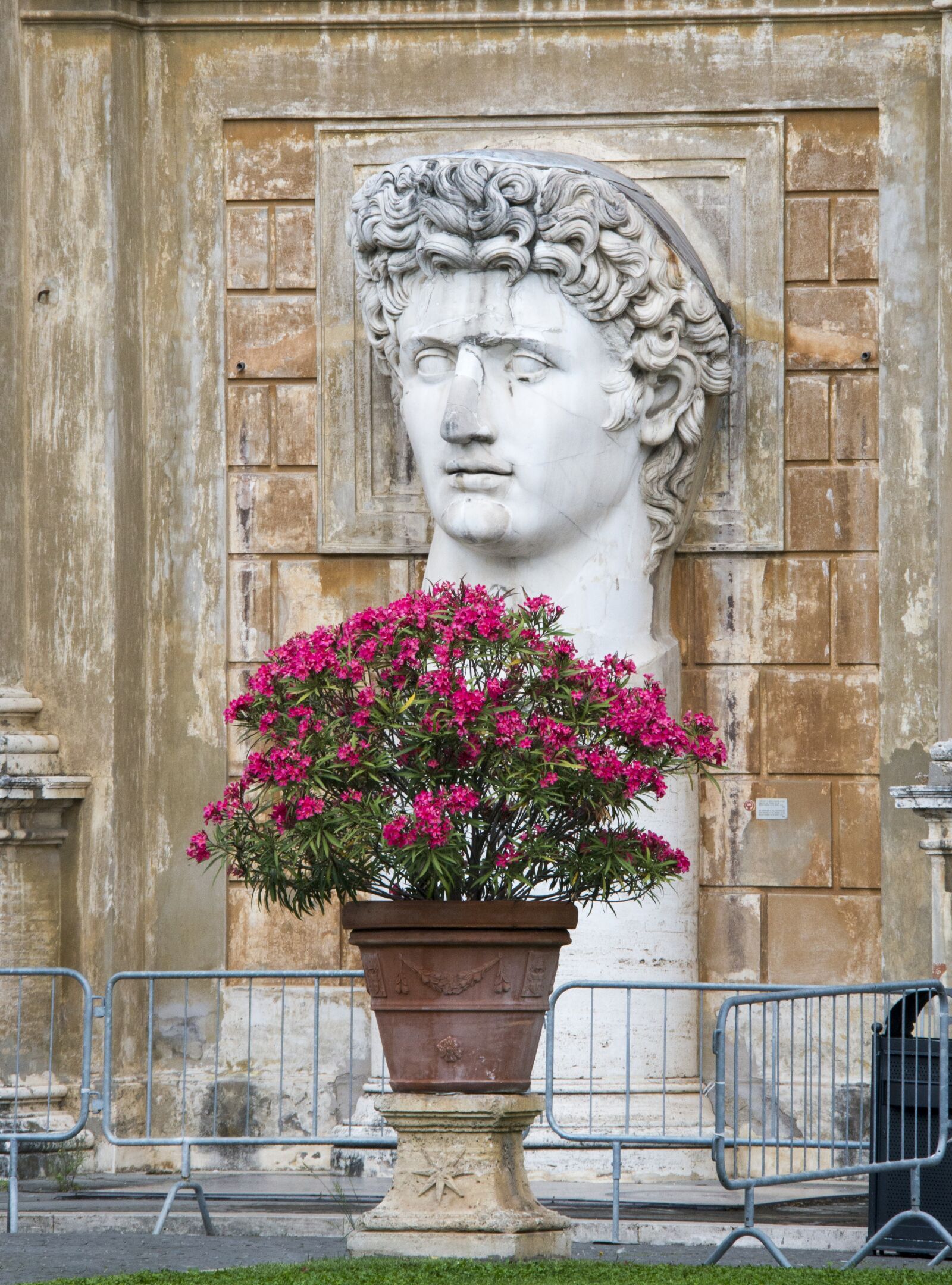 Nikon D800 sample photo. Vatican, rome, italy photography