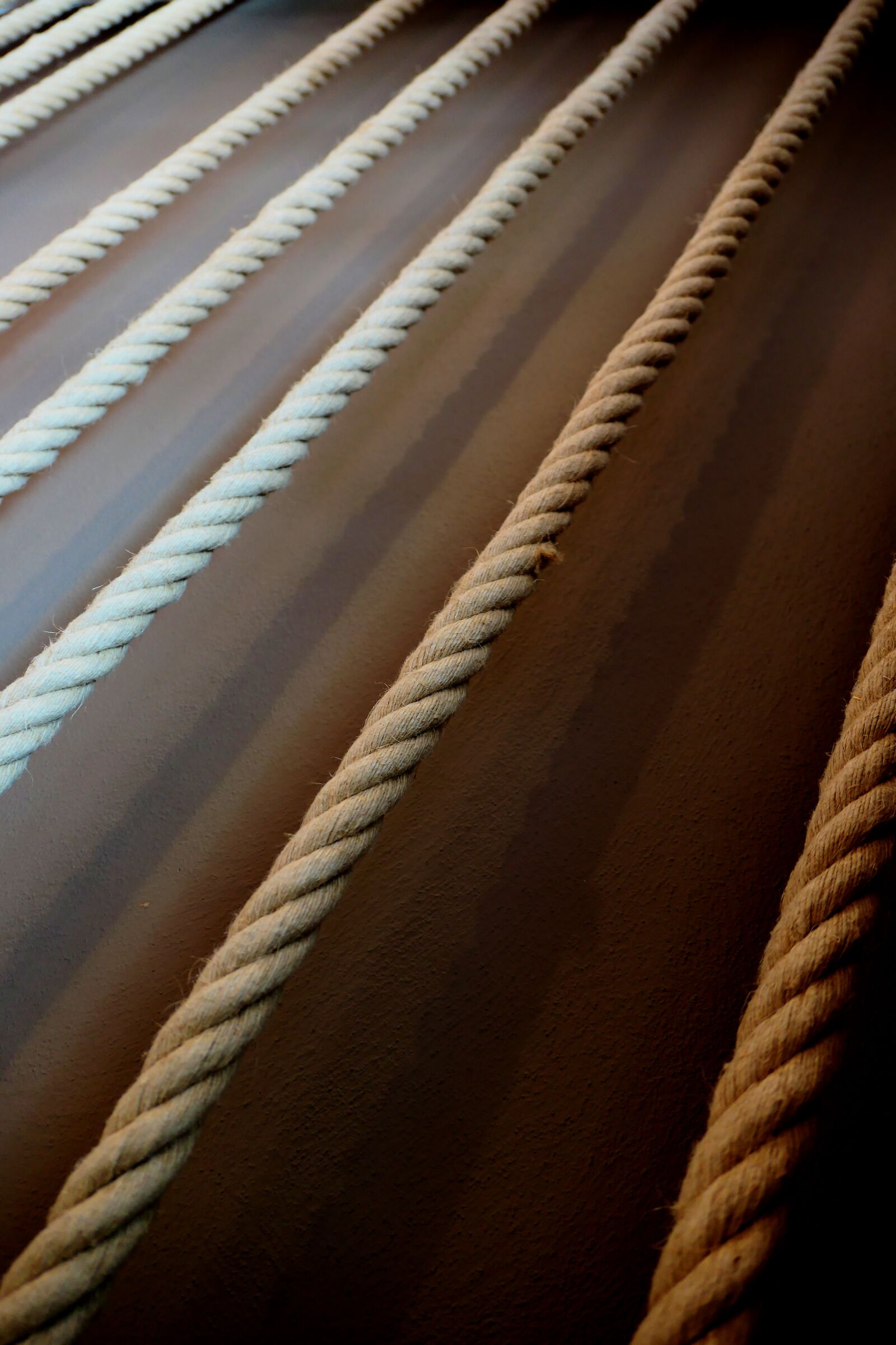 Panasonic Lumix DMC-LX10 (Lumix DMC-LX15) sample photo. Ropes, dew, cord photography