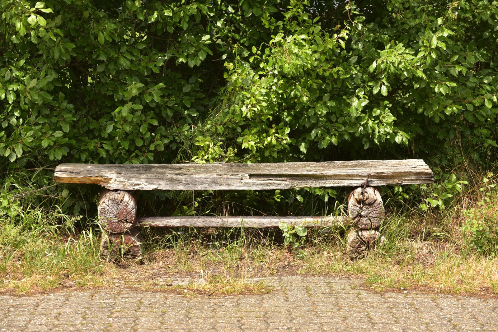 Nikon D750 sample photo. Park bench, bank, old photography
