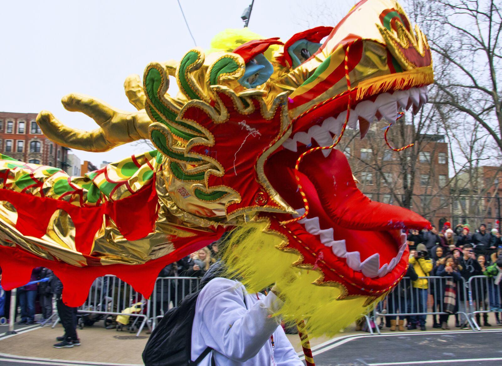 Nikon D7200 sample photo. Chinatown, chinese new year photography
