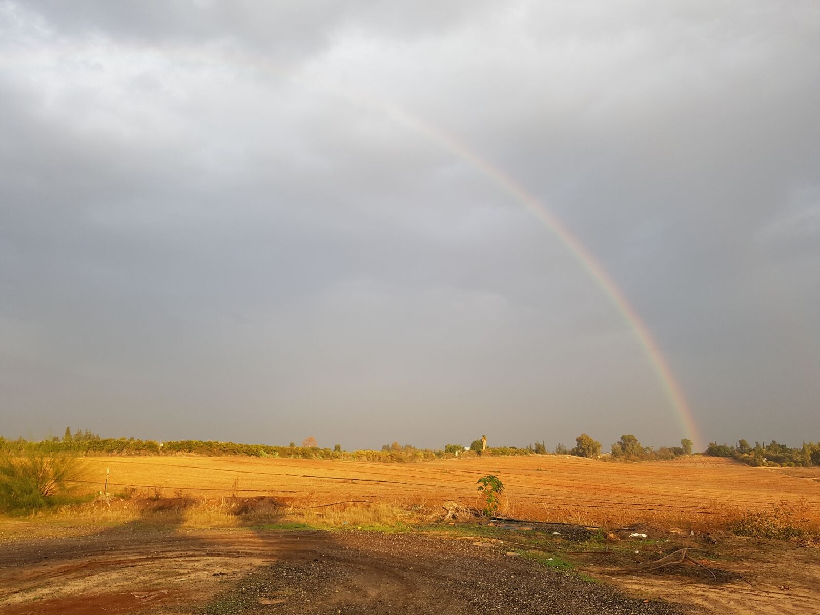 Samsung SM-G930F sample photo. Rainbow, landscape, sky photography