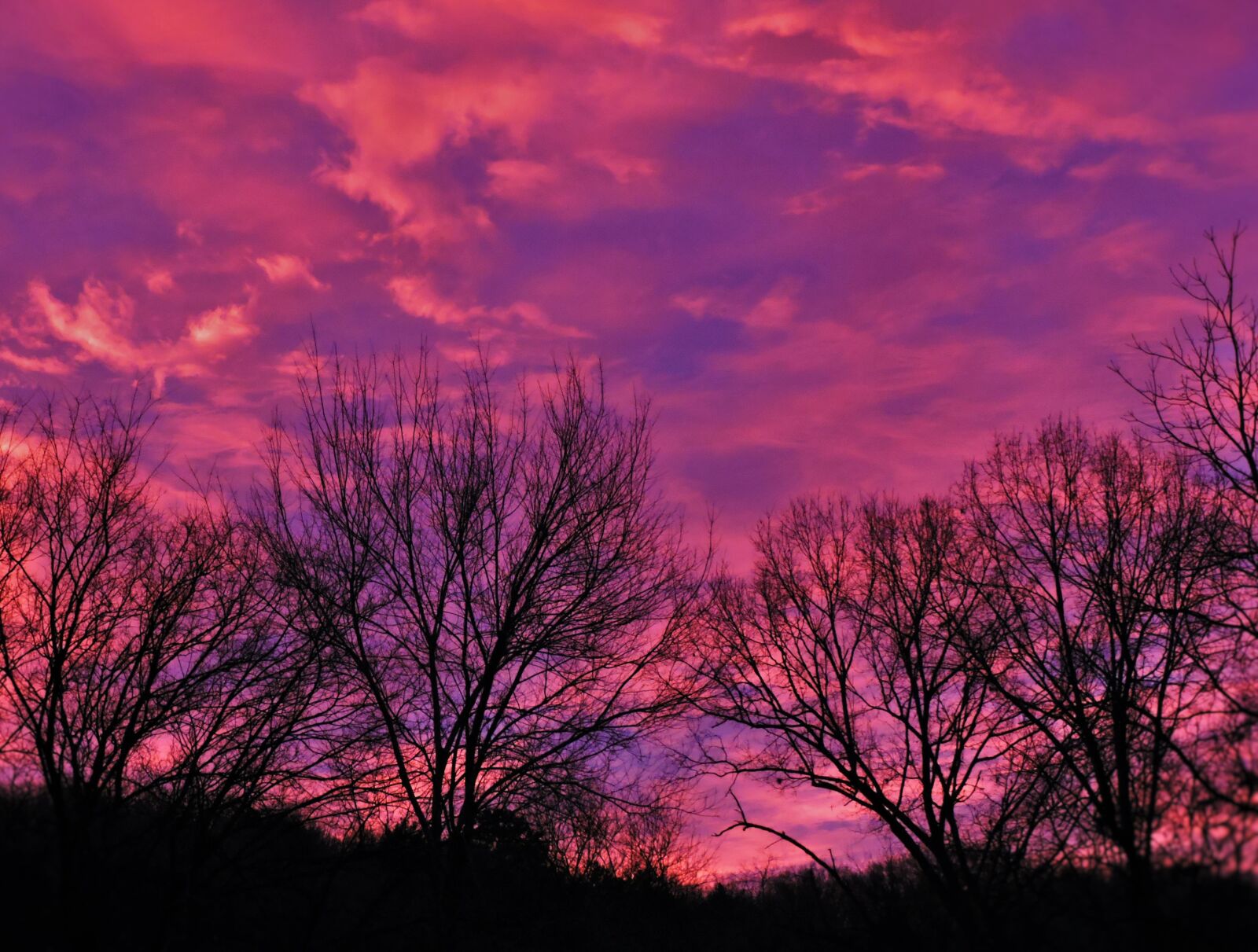 Nikon Coolpix P600 sample photo. Sunset, nature, colorful photography
