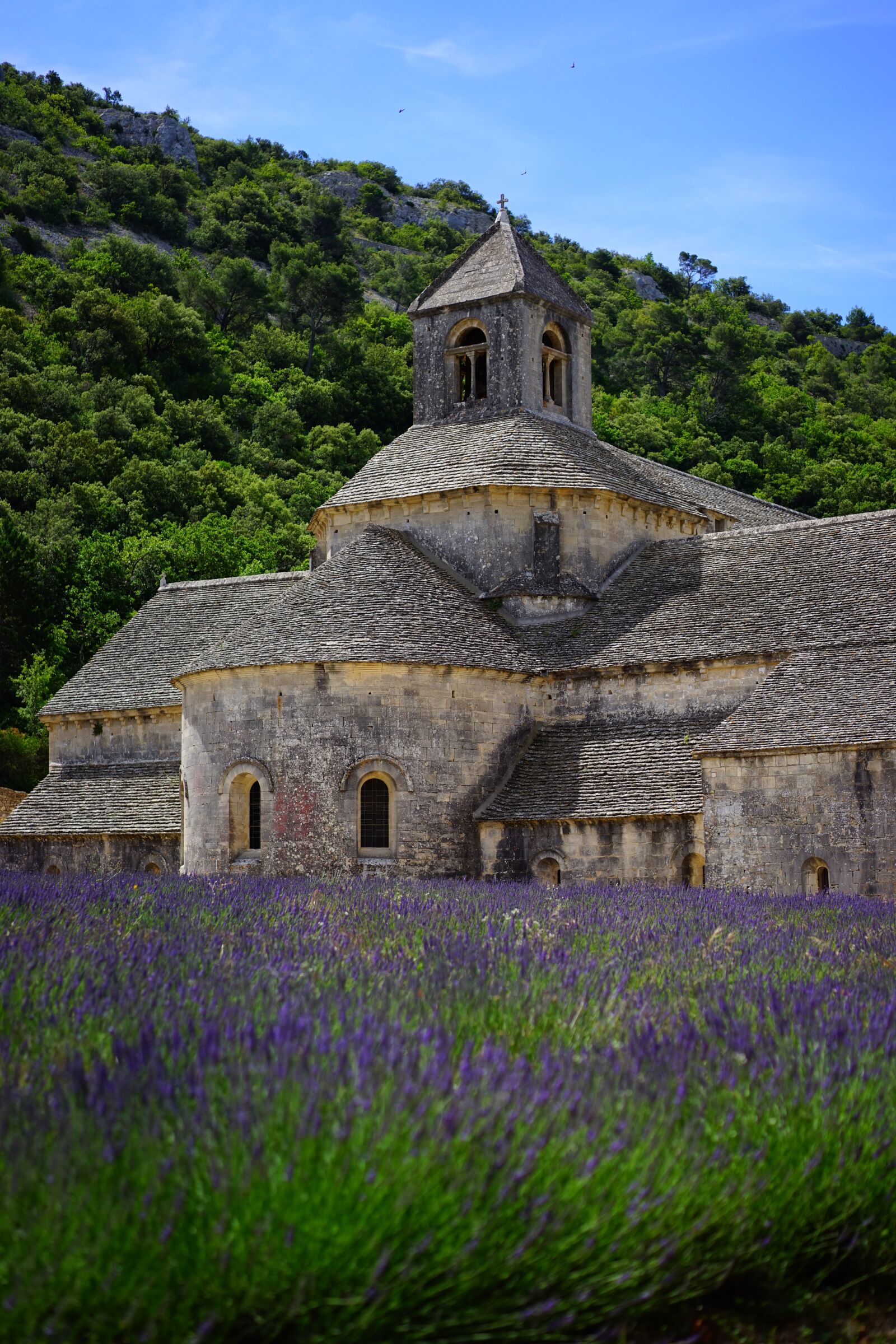 Sony a7 + Sony Sonnar T* FE 55mm F1.8 ZA sample photo. Abbaye de s nanque photography