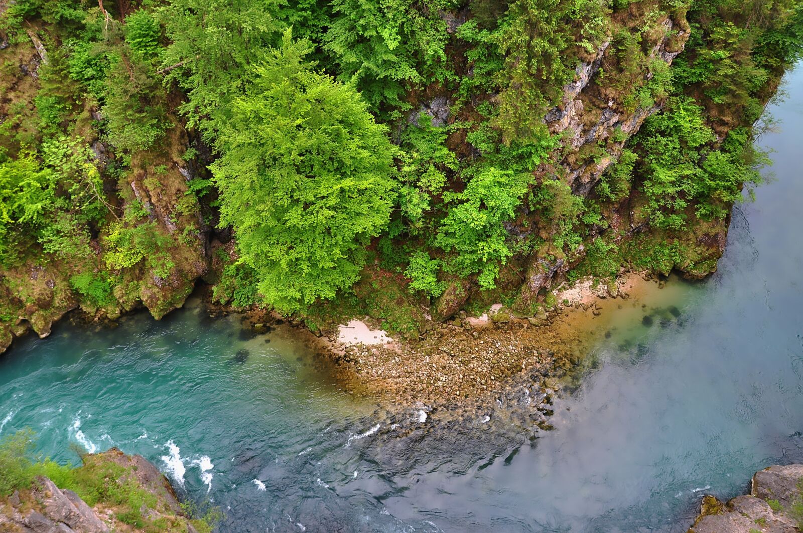 Nikon D90 sample photo. Nature, river, river close photography