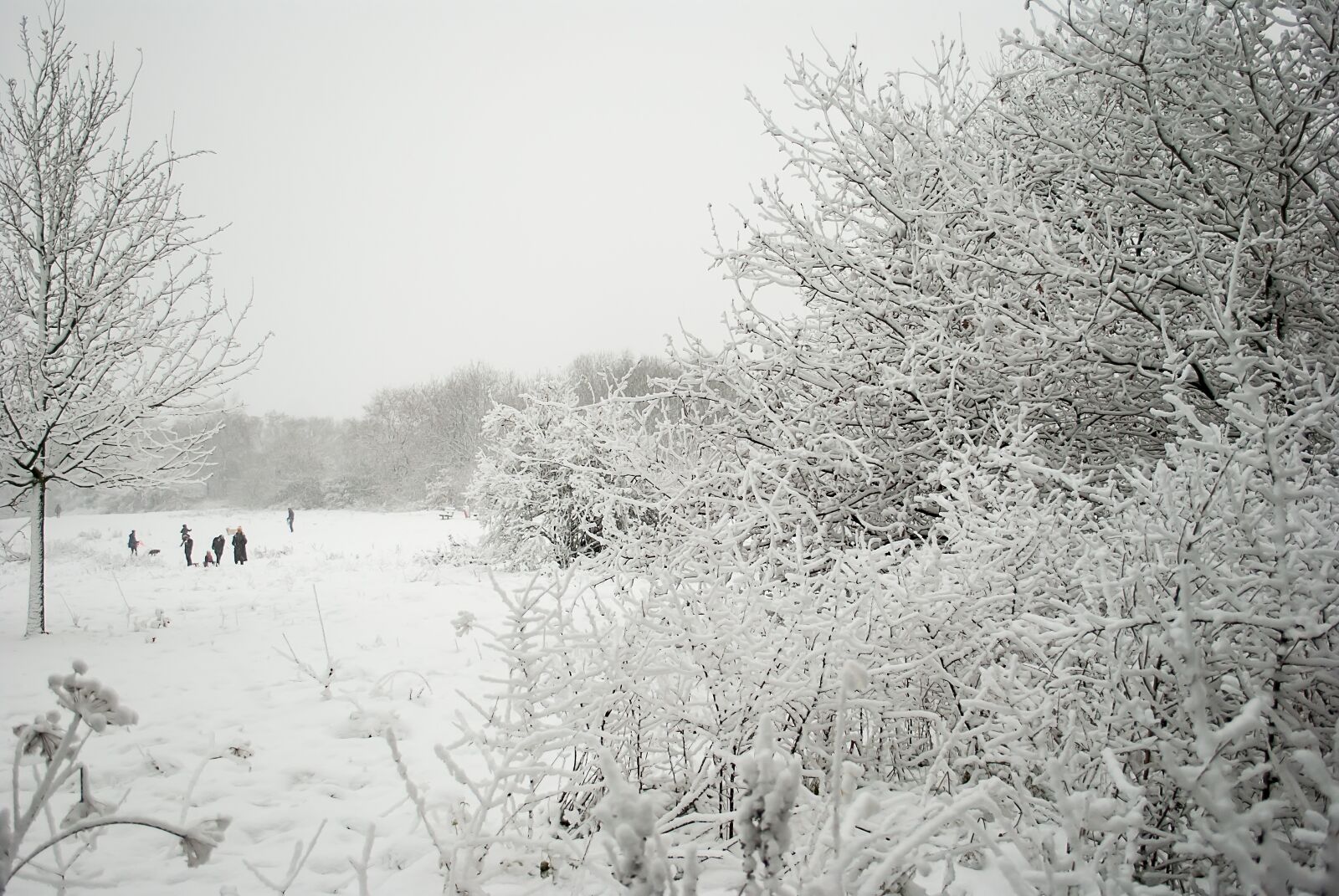 Nikon D3000 sample photo. Winter, snow, landscape photography