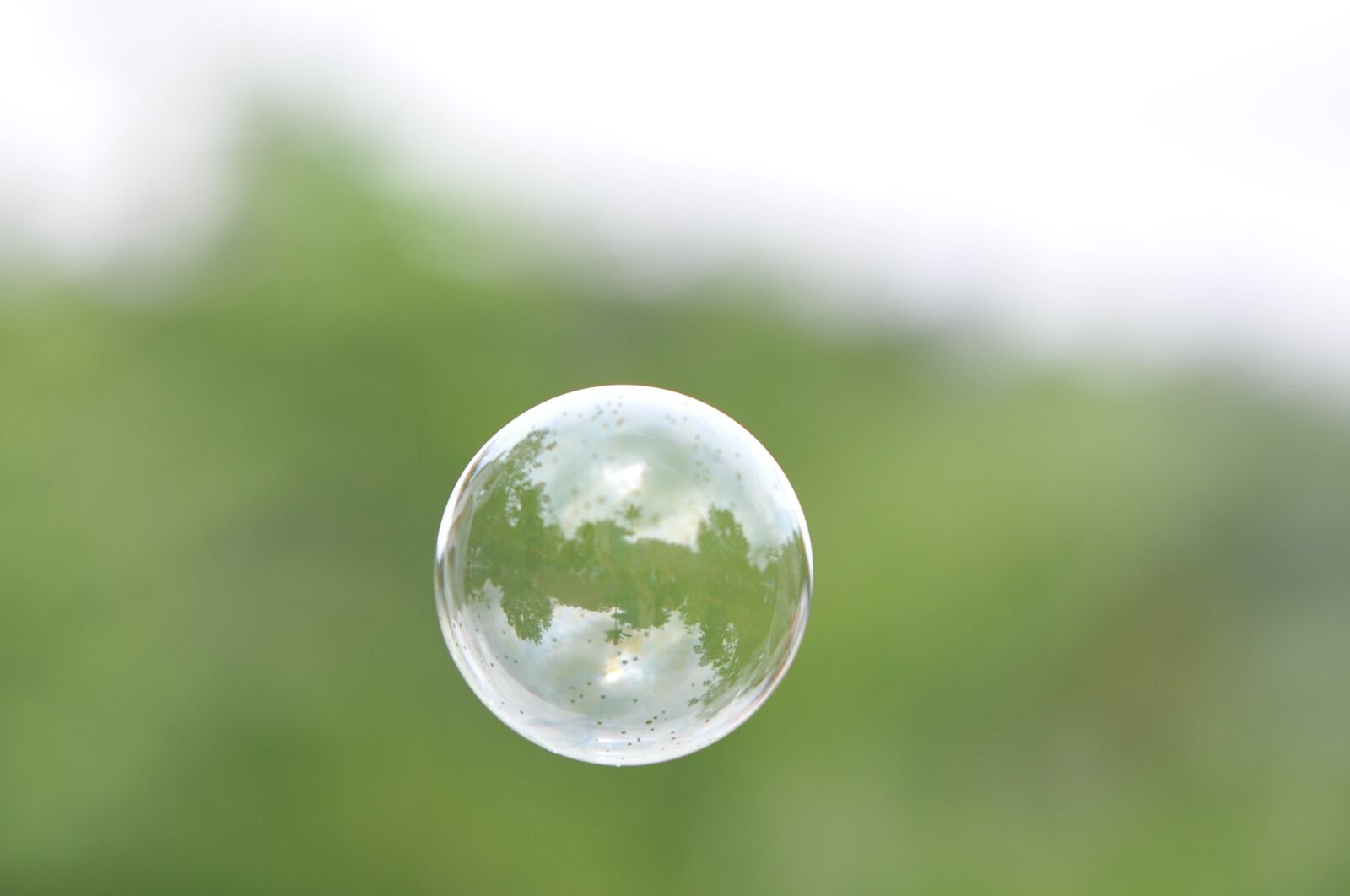 Nikon D700 sample photo. Pop, fly, little photography