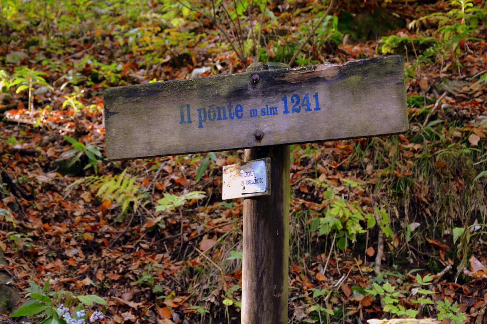 Nikon D7100 sample photo. Signal, share, bridge photography