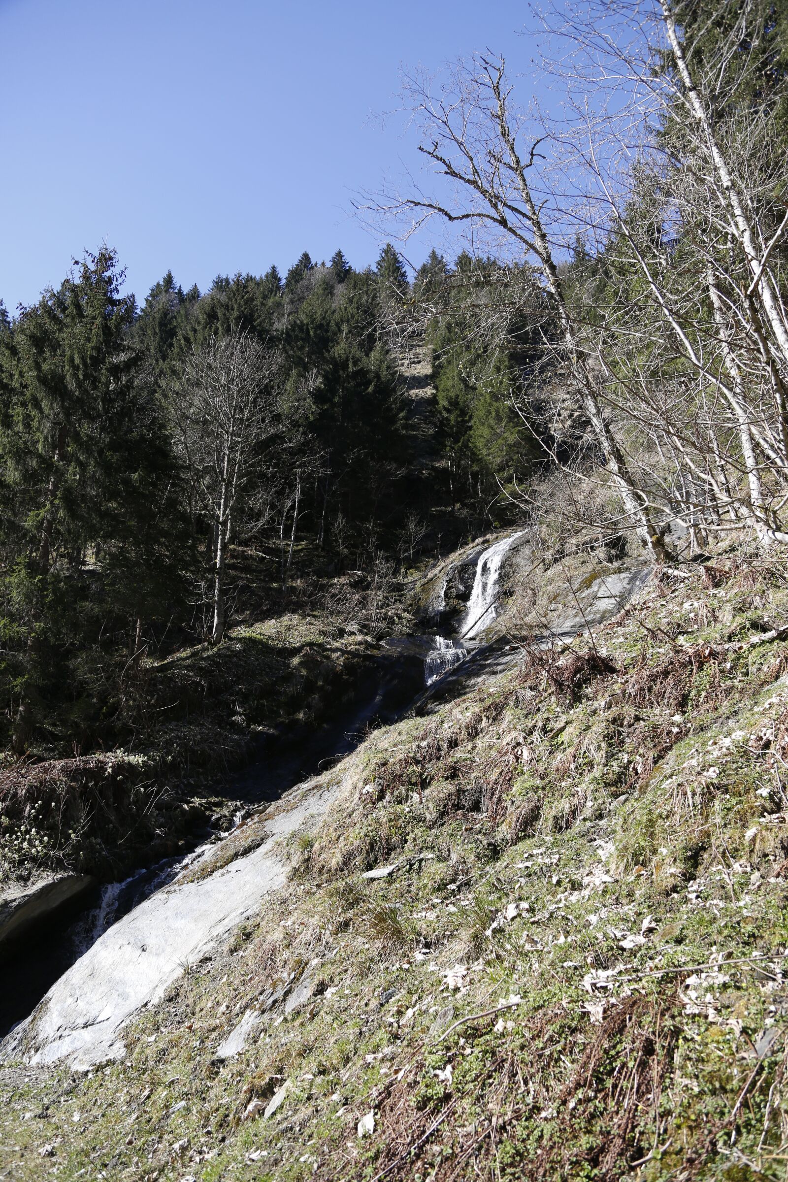 Canon EF 24-105mm F4L IS USM sample photo. Water, mountain stream, bach photography