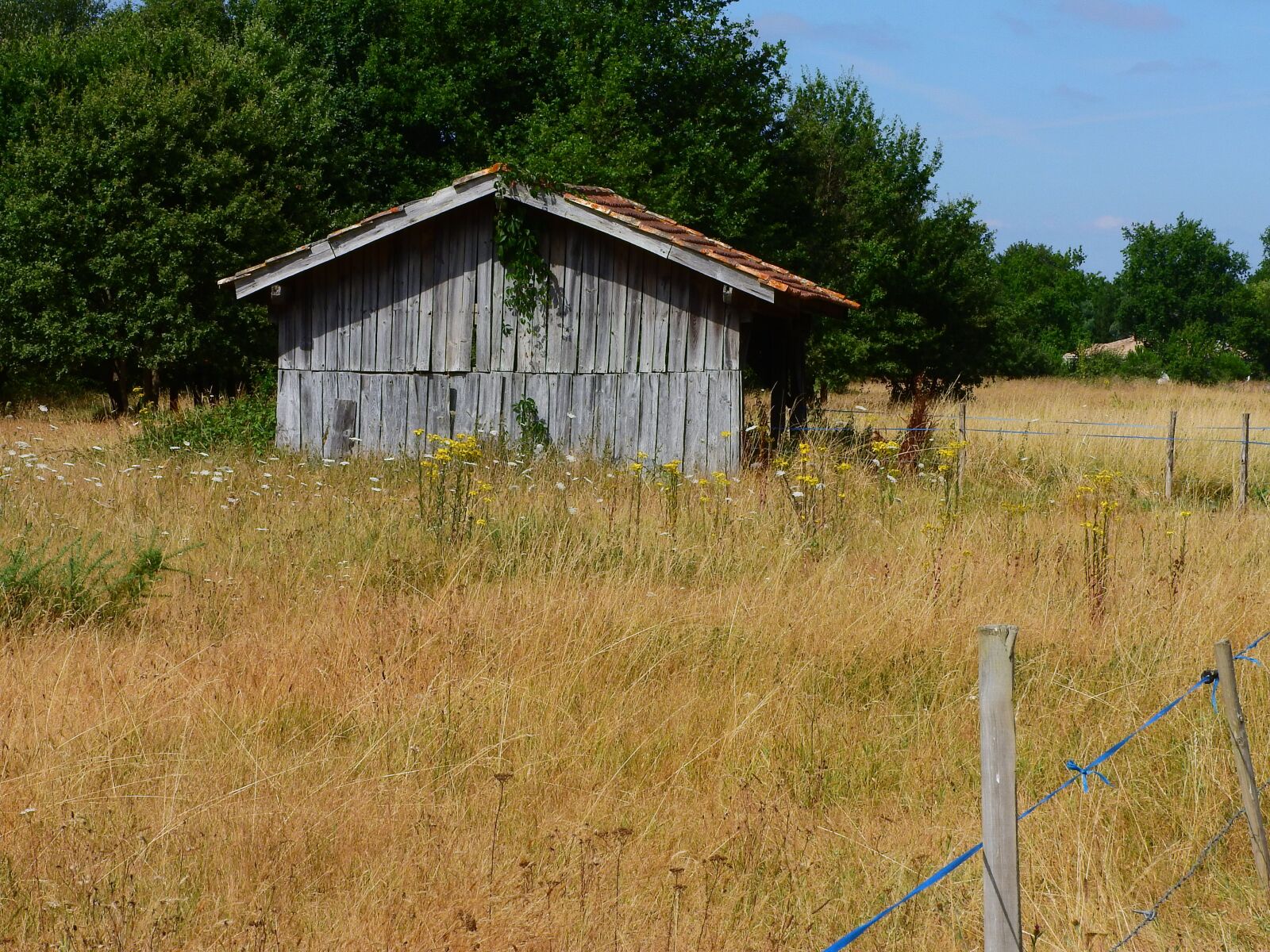 Nikon Coolpix P610 sample photo. Hut, old, wood photography