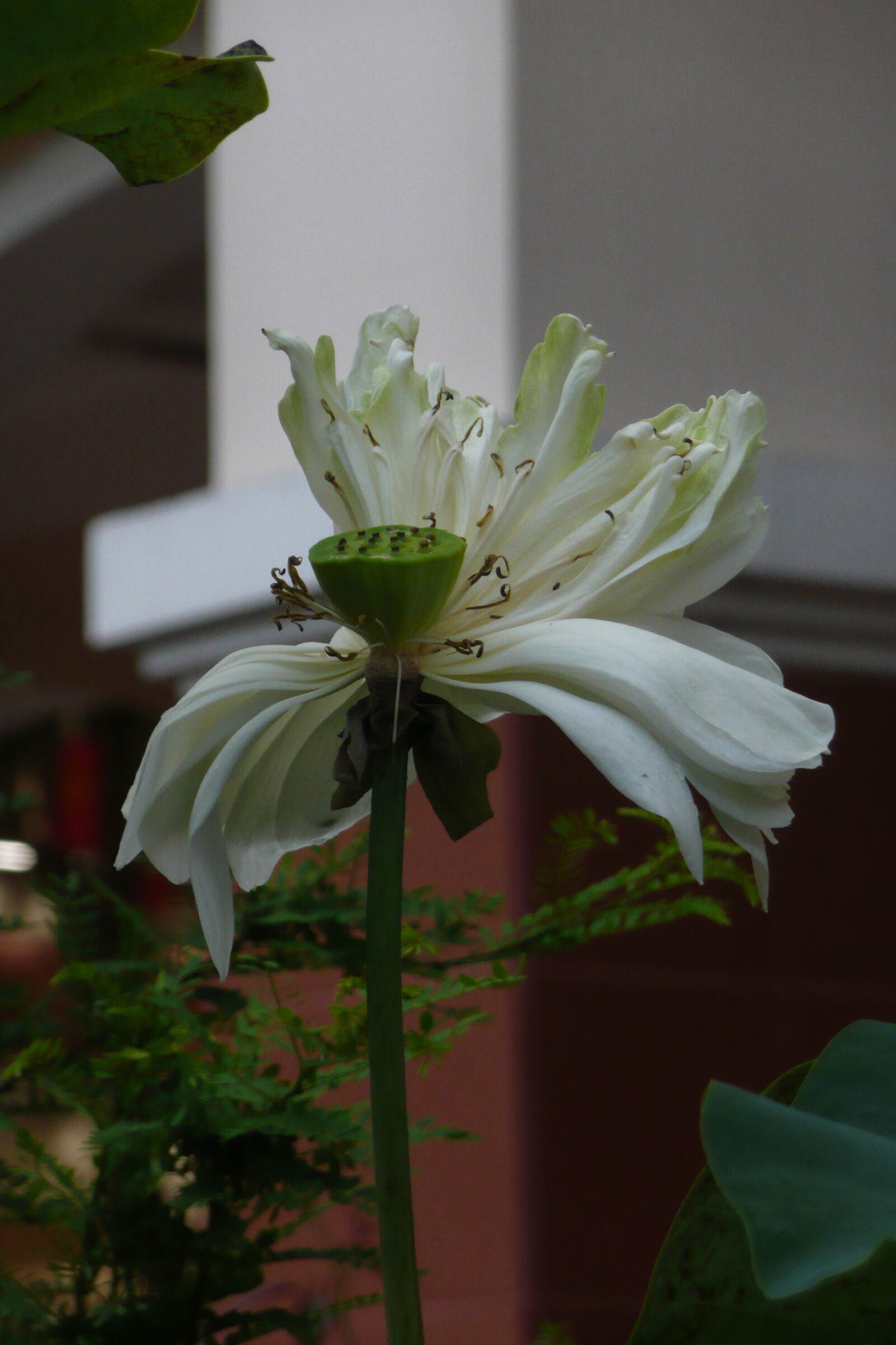 Panasonic DMC-TZ3 sample photo