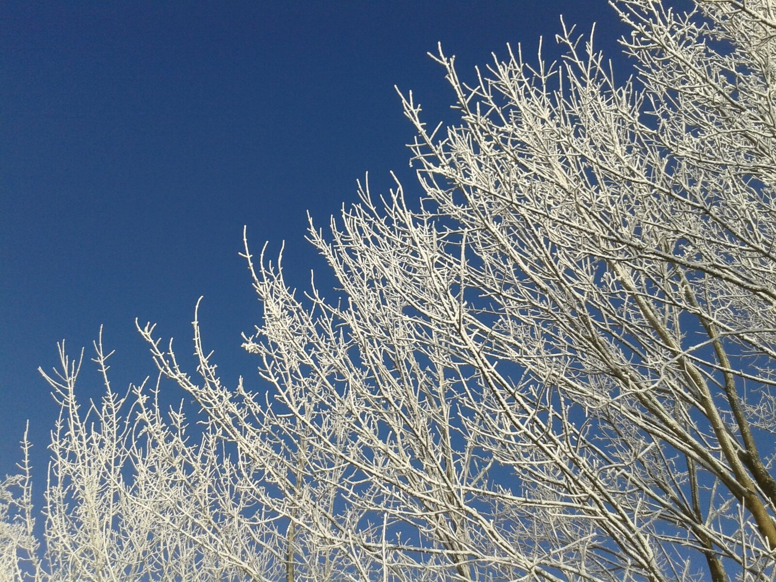 Samsung Galaxy S3 Mini sample photo. Winter, sun, snow photography
