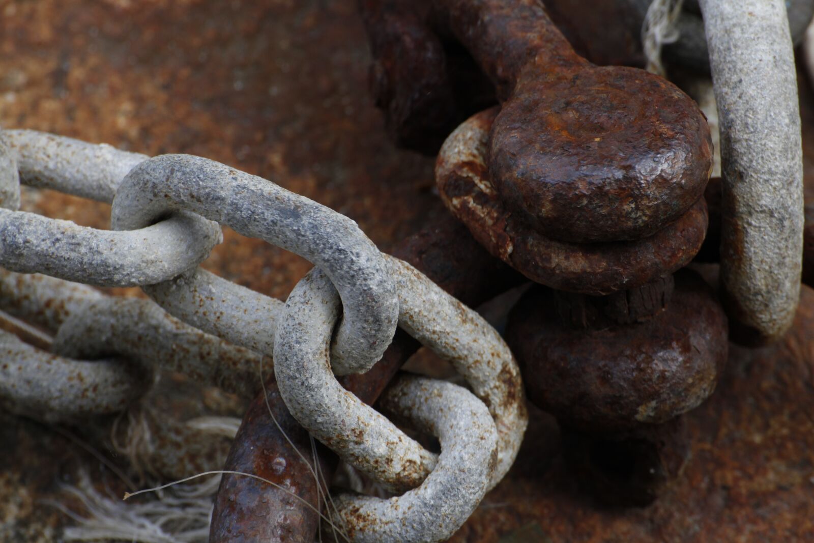 Canon EOS 5D Mark II sample photo. Rust, sea, old photography