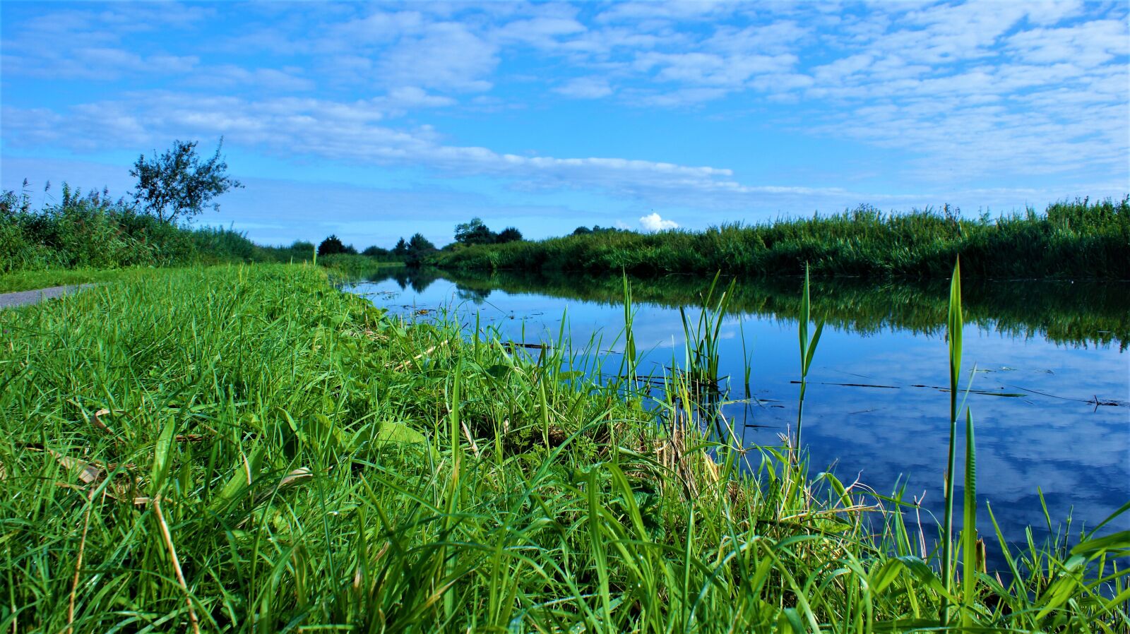 Sony Alpha DSLR-A350 sample photo. Channel, reflection, grass photography