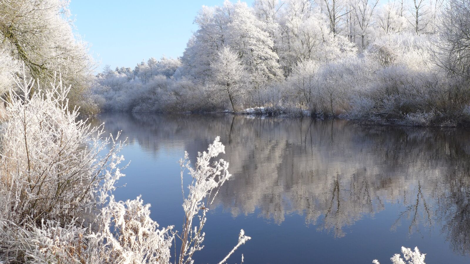 Panasonic Lumix DMC-LX7 sample photo. Silent, harmony, hoarfrost photography