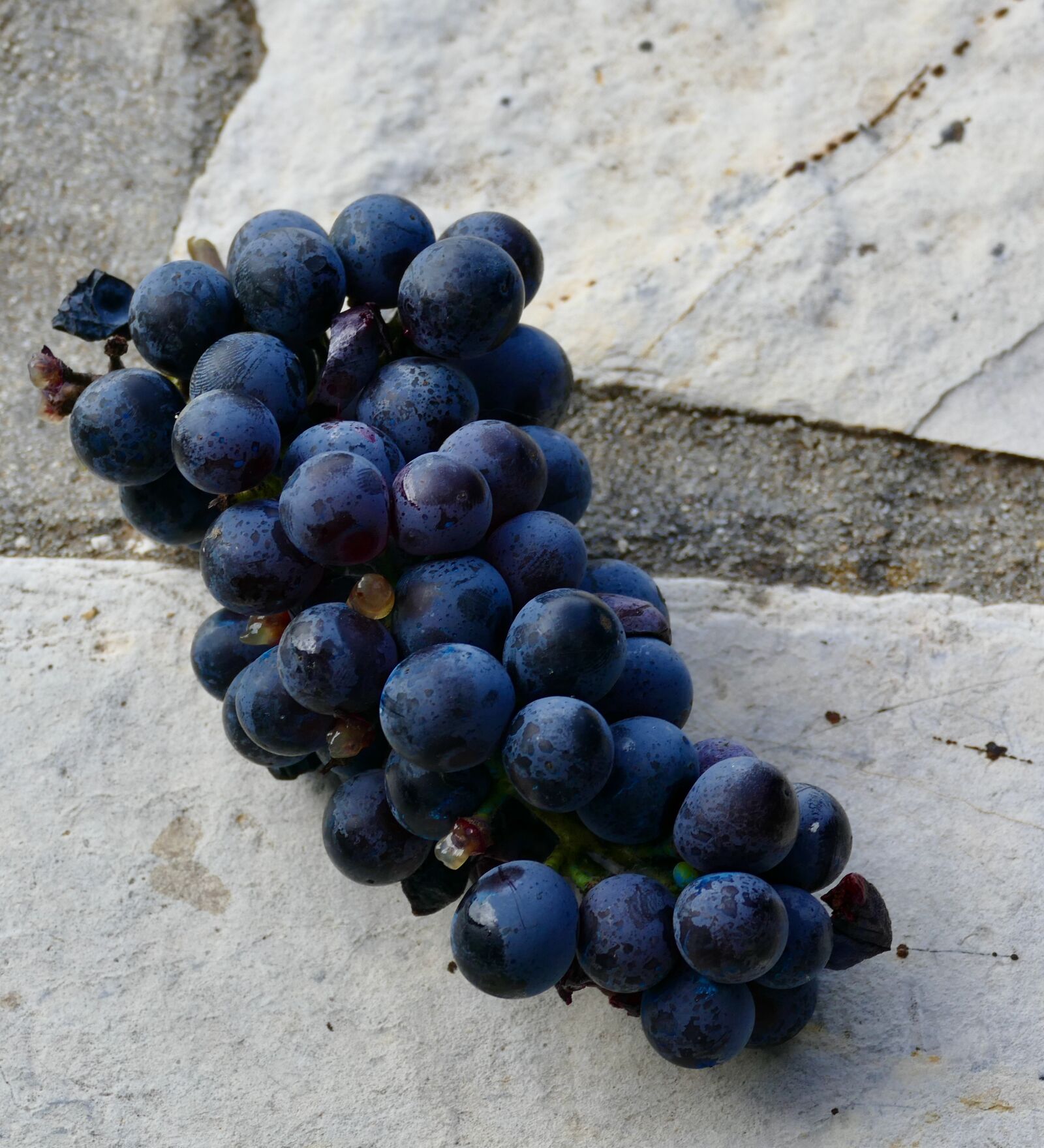 Panasonic Lumix DMC-FZ1000 sample photo. Grape, fruit, ripe photography