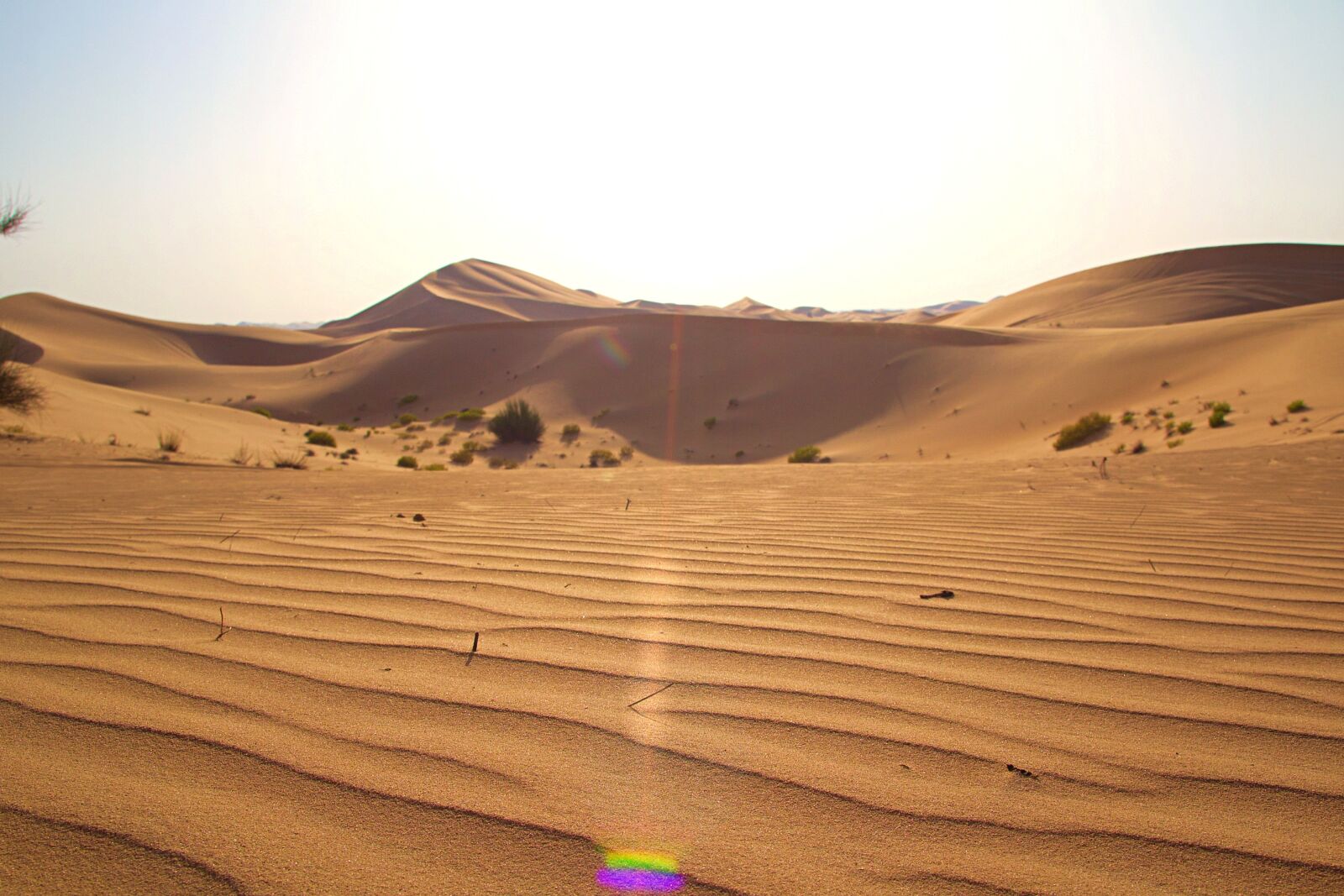 Canon EOS 600D (Rebel EOS T3i / EOS Kiss X5) sample photo. Abu dhabi, emirates, desert photography