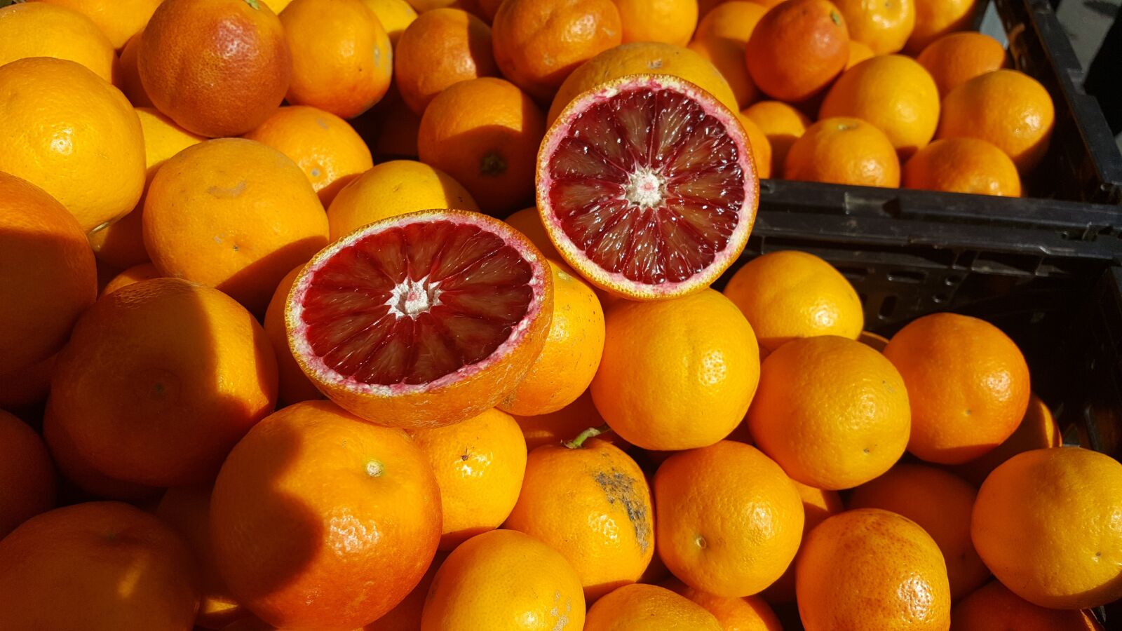 Samsung GALAXY S6 edge sample photo. Blood orange, fruit, sunshine photography