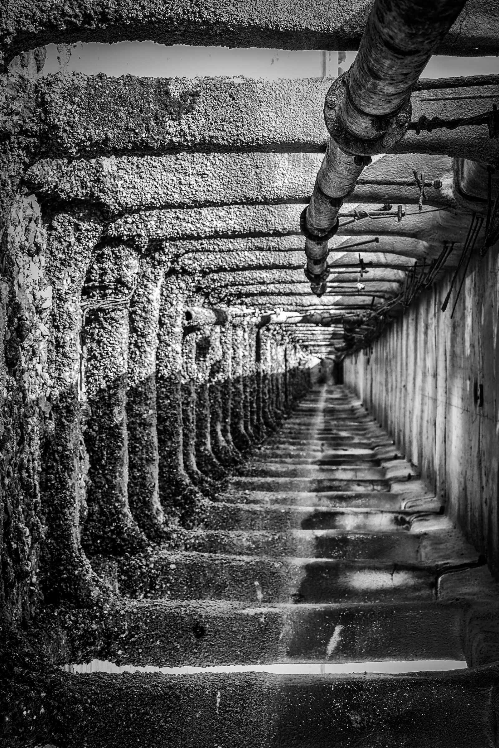Olympus OM-D E-M10 sample photo. Strange, tunnel, black and photography