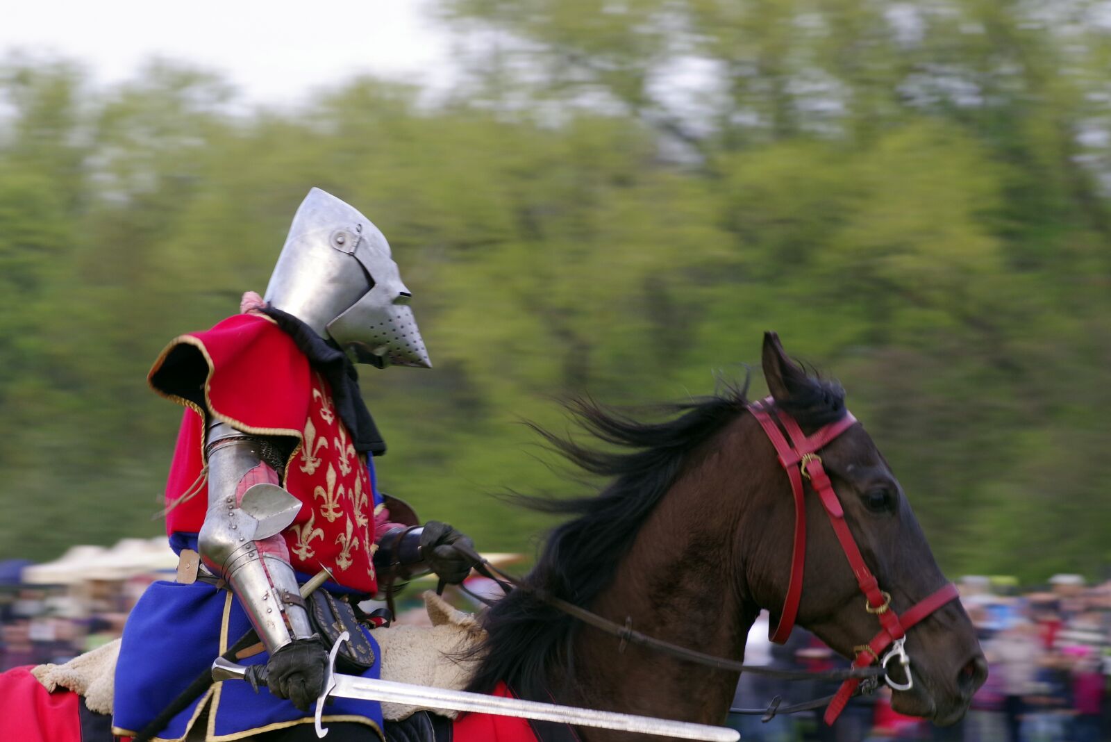 Pentax K-S2 sample photo. Knight, mounted, the horse photography