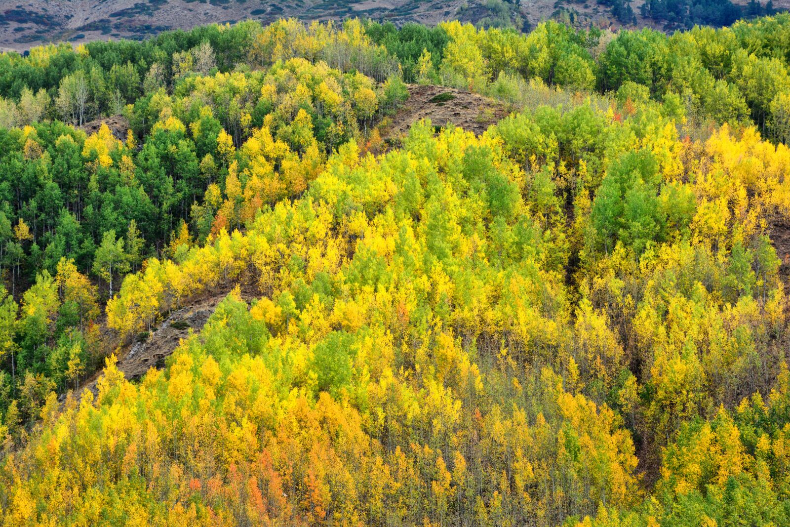 Nikon D7100 sample photo. Nature, landscape, kaçkars photography