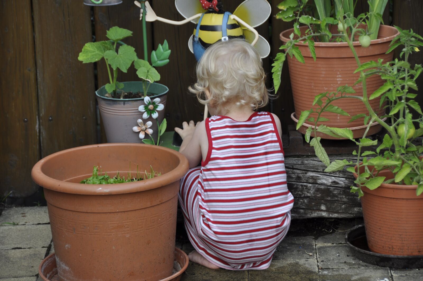 Nikon D90 sample photo. Child, terrace, playing photography