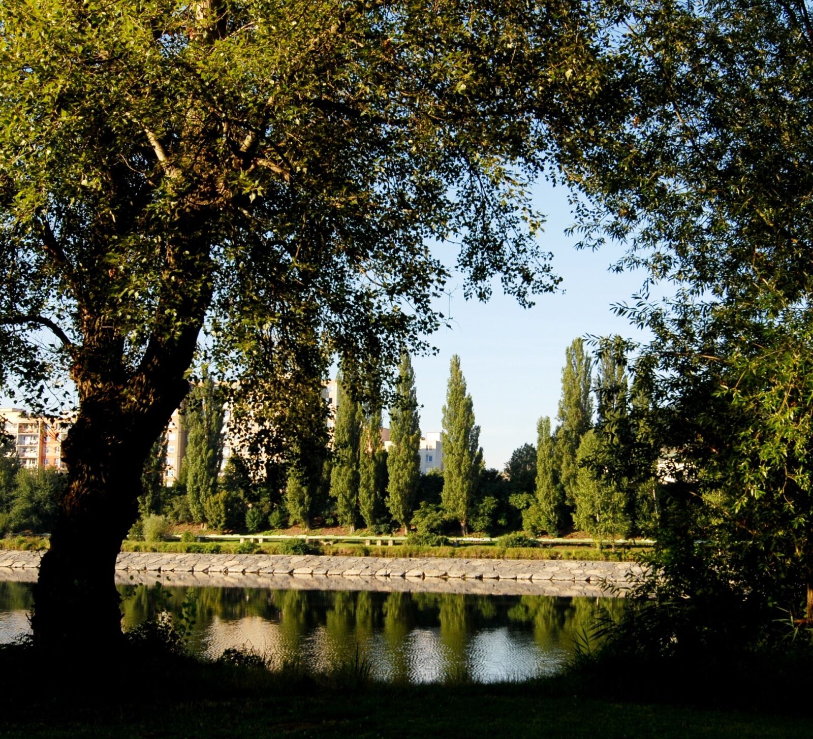 Nikon D200 sample photo. River, trees, reflection photography