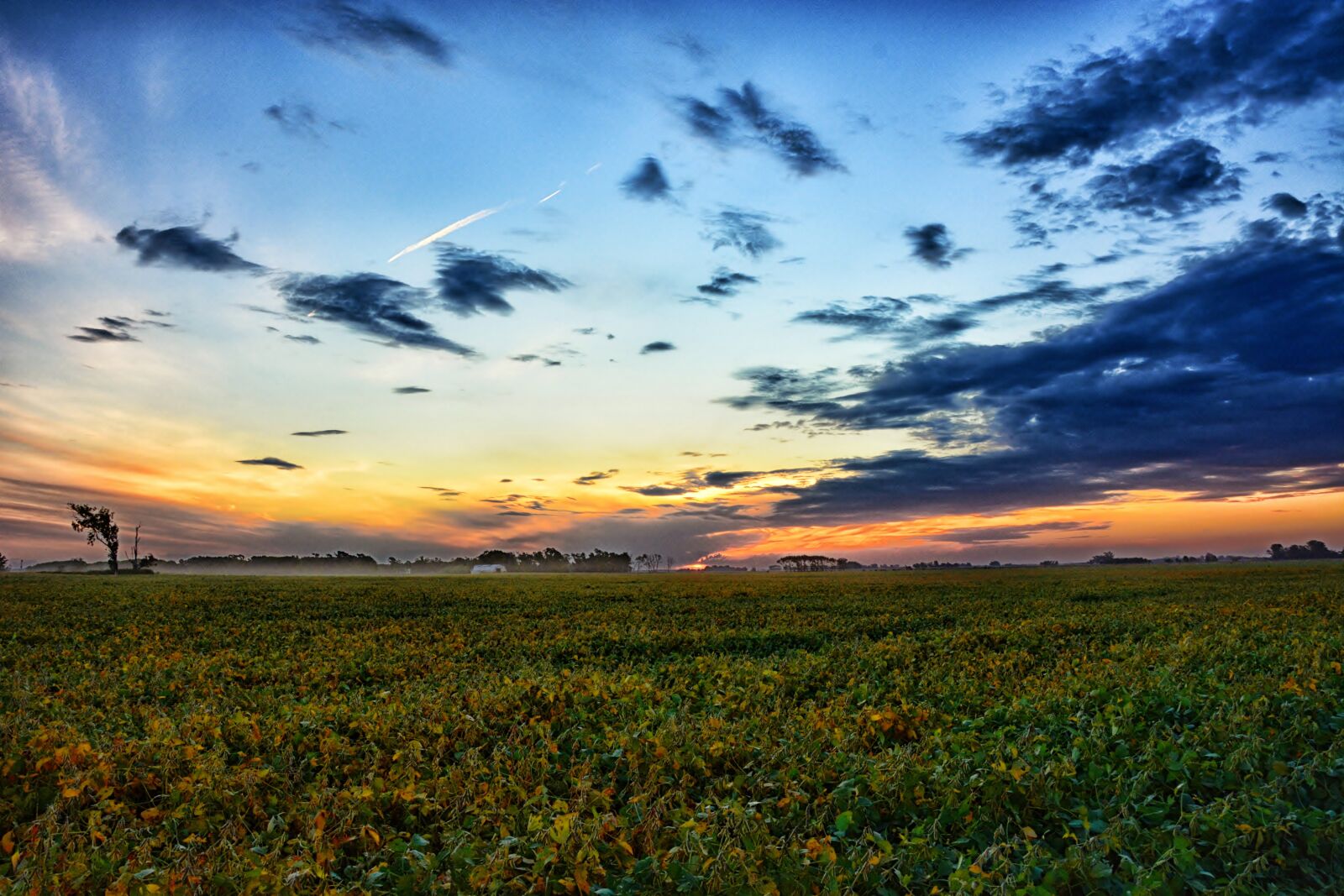 Nikon D5200 sample photo. Field, planting, landscape photography