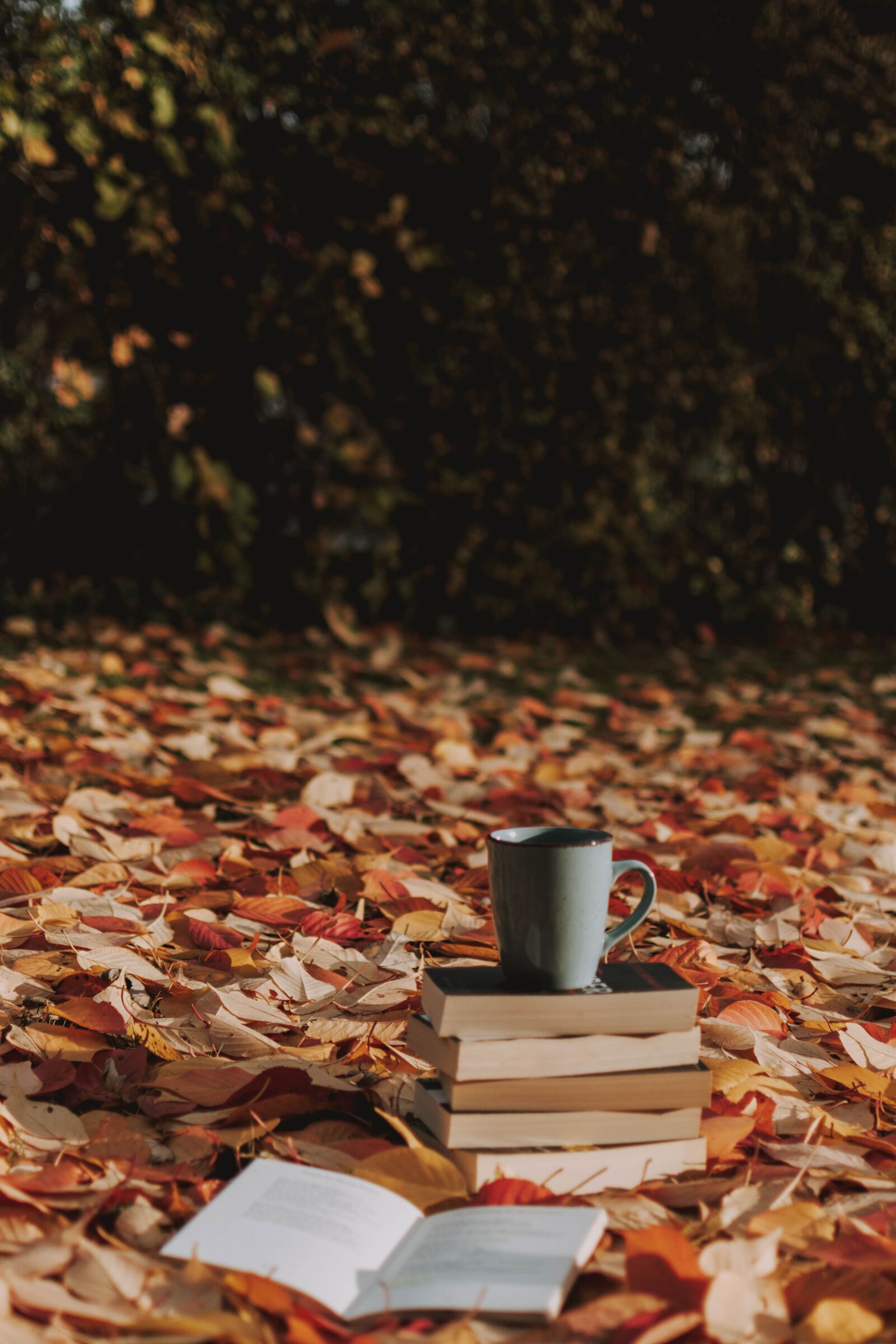Nikon D5200 sample photo. Autumn, leaves, book photography
