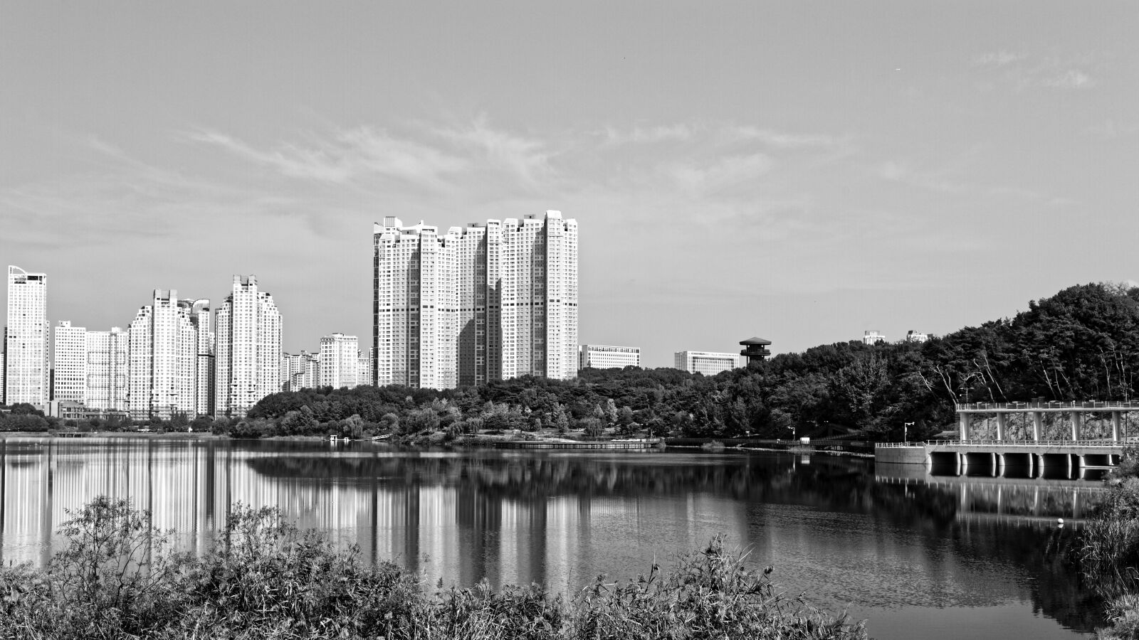 Canon EF 40mm F2.8 STM sample photo. Gwanggyo lake park in photography