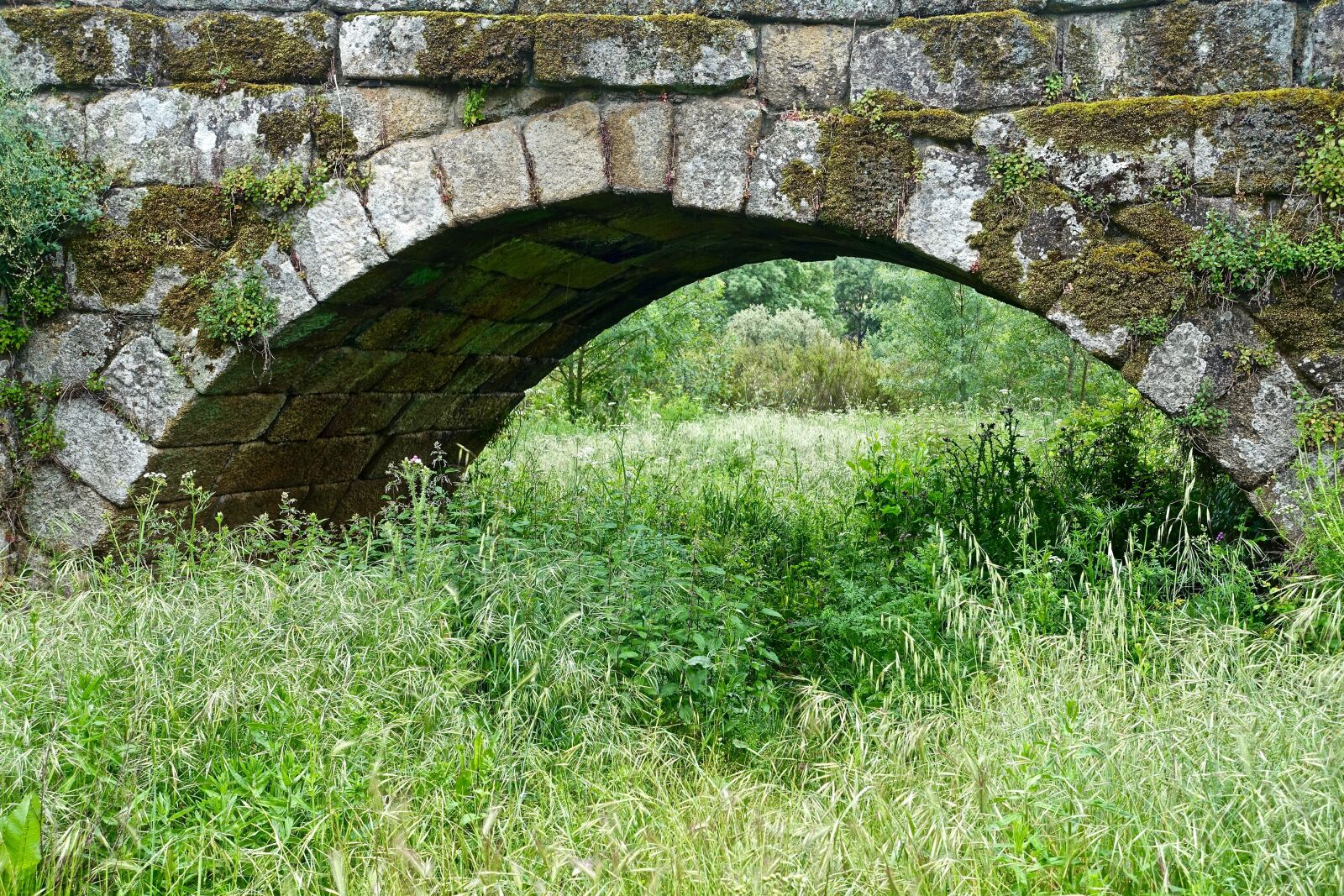 Sony Cyber-shot DSC-RX100 III sample photo. Bridge, crossing, old photography