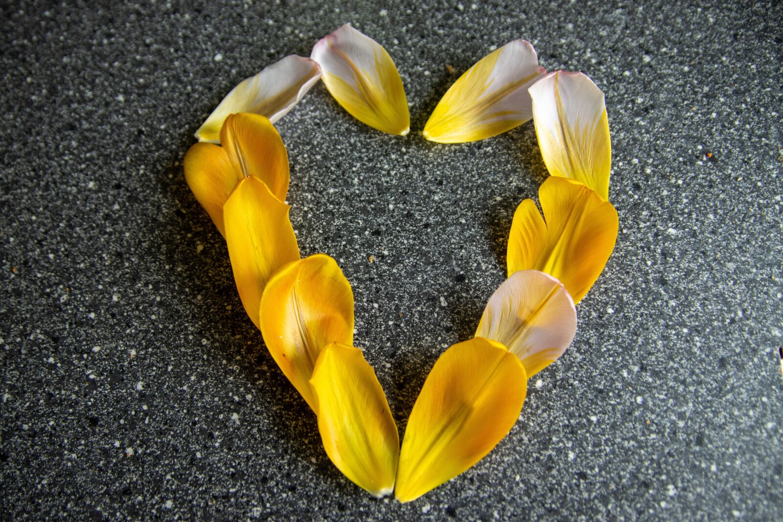 Canon EOS 90D sample photo. Heart, romantic, tulpenbluete photography
