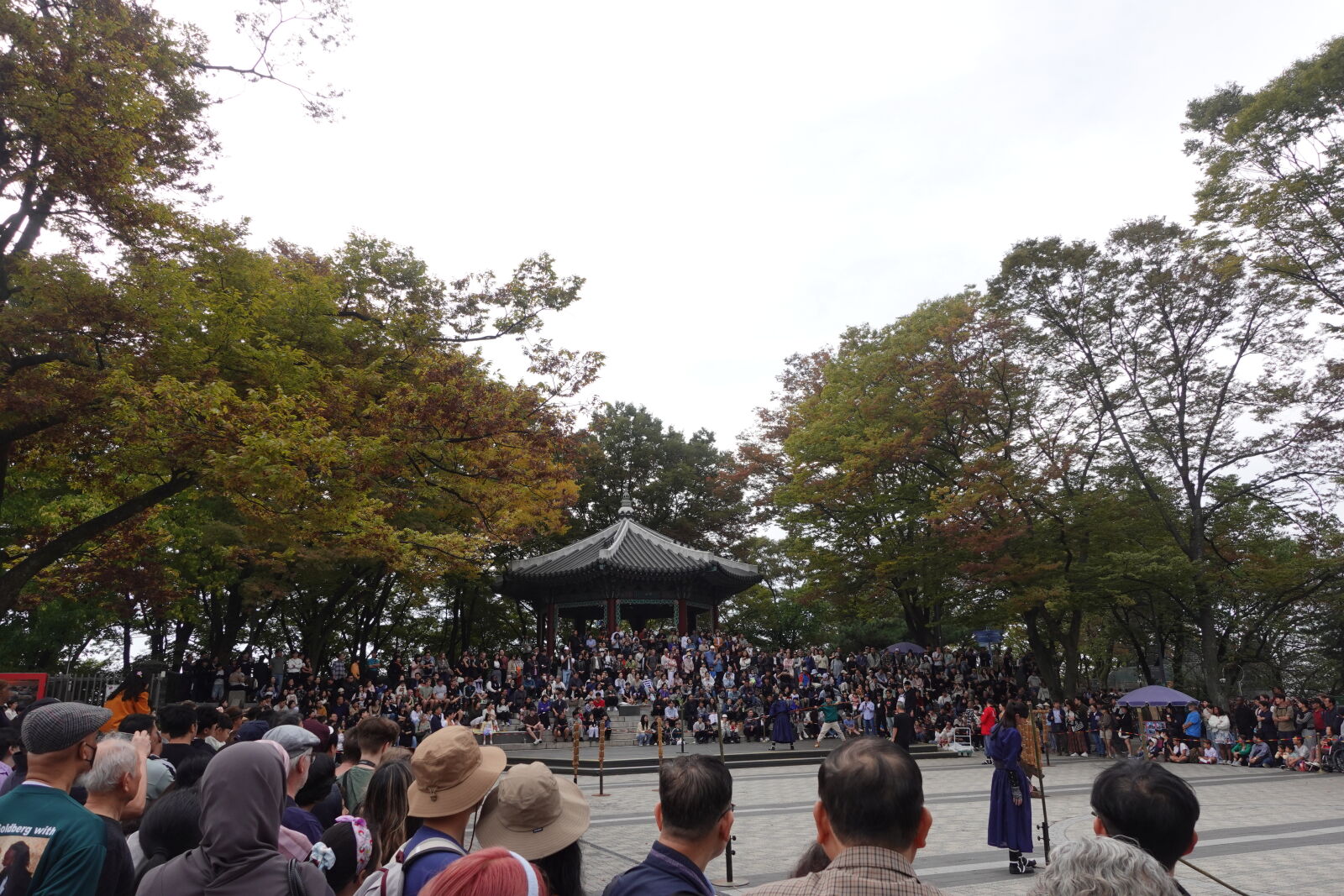 Sony ZV-1 sample photo