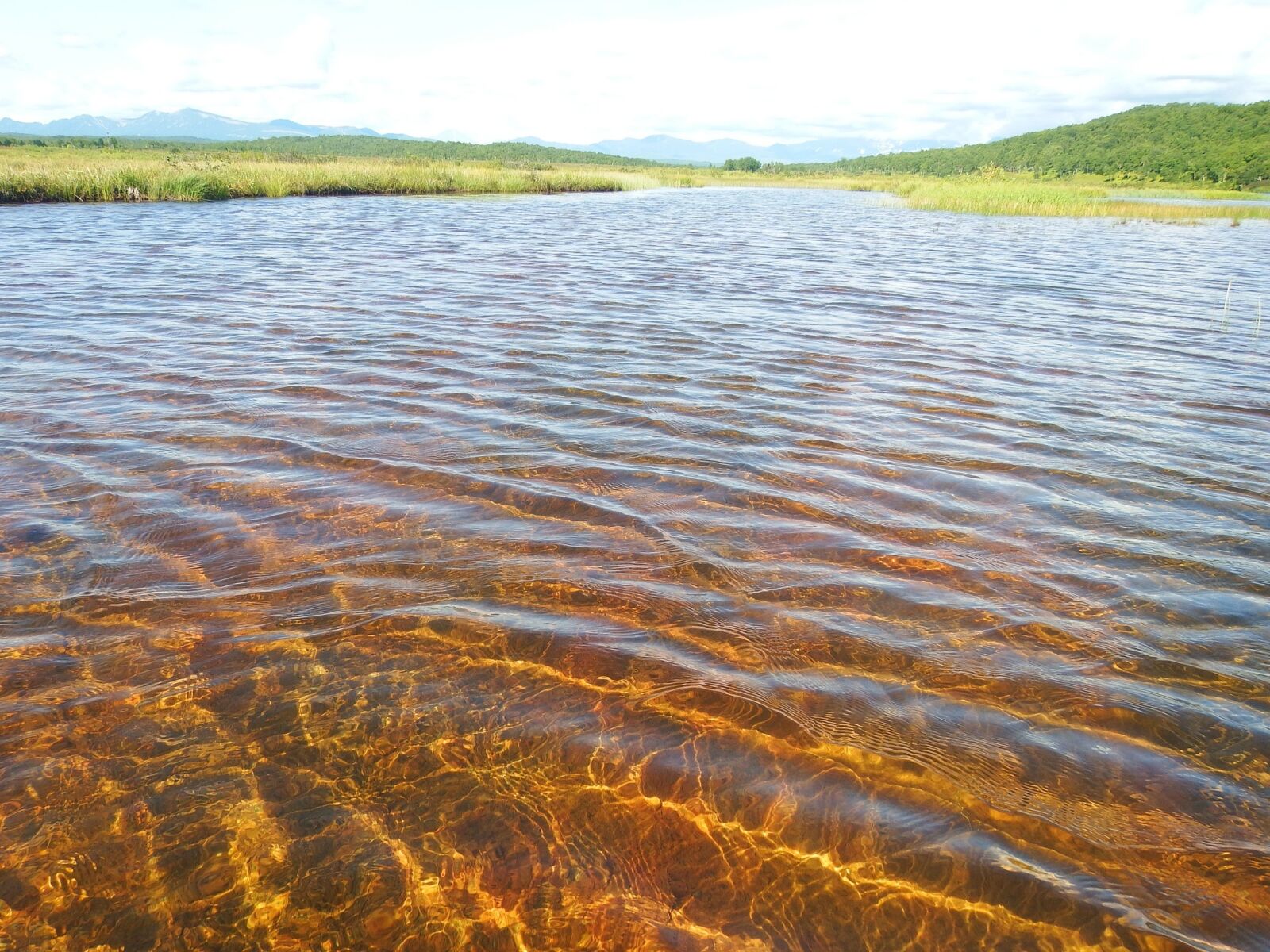 Fujifilm FinePix S1 sample photo. Lake, duct, shallow water photography