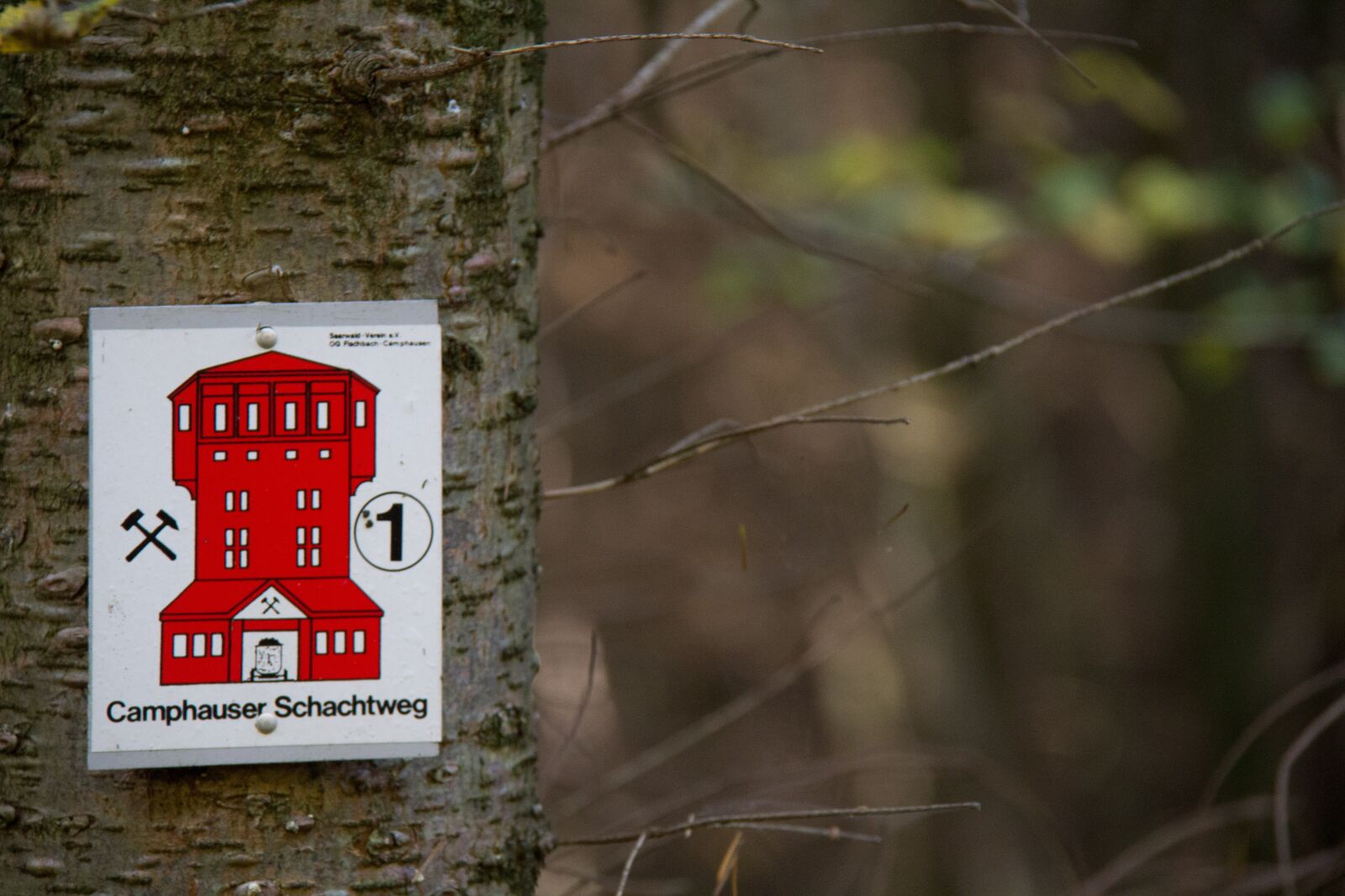 Canon EOS 60D sample photo. Miners path, forest, autumn photography