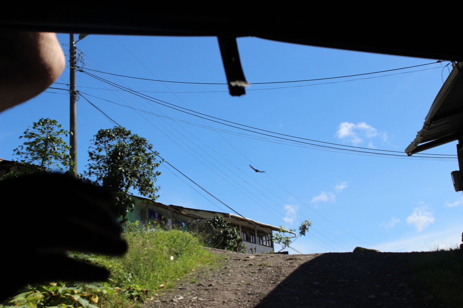Canon EOS 600D (Rebel EOS T3i / EOS Kiss X5) sample photo. Dilapidated, hawk, houses, power photography