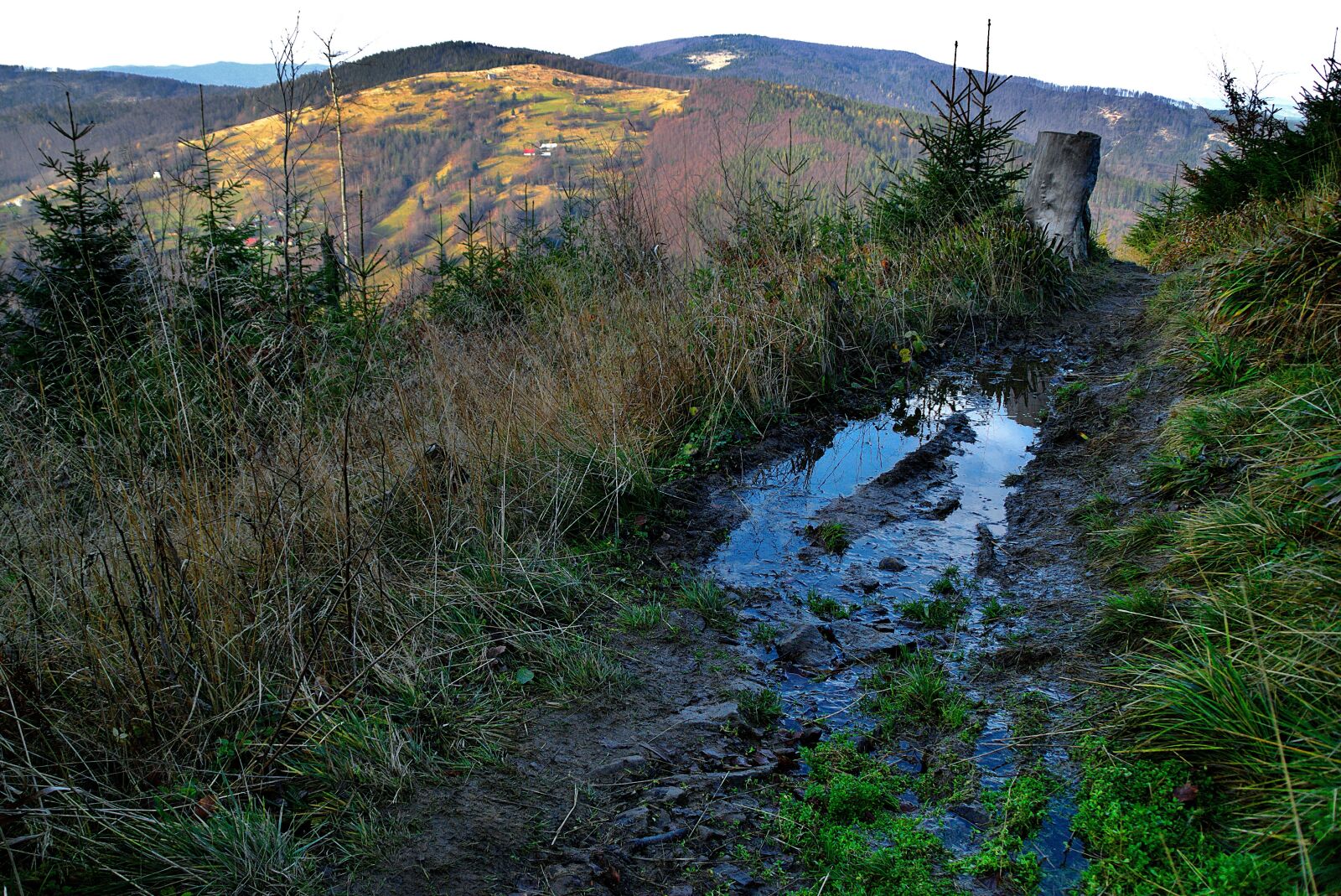 Nikon D80 sample photo. Pool, mud, mountains photography