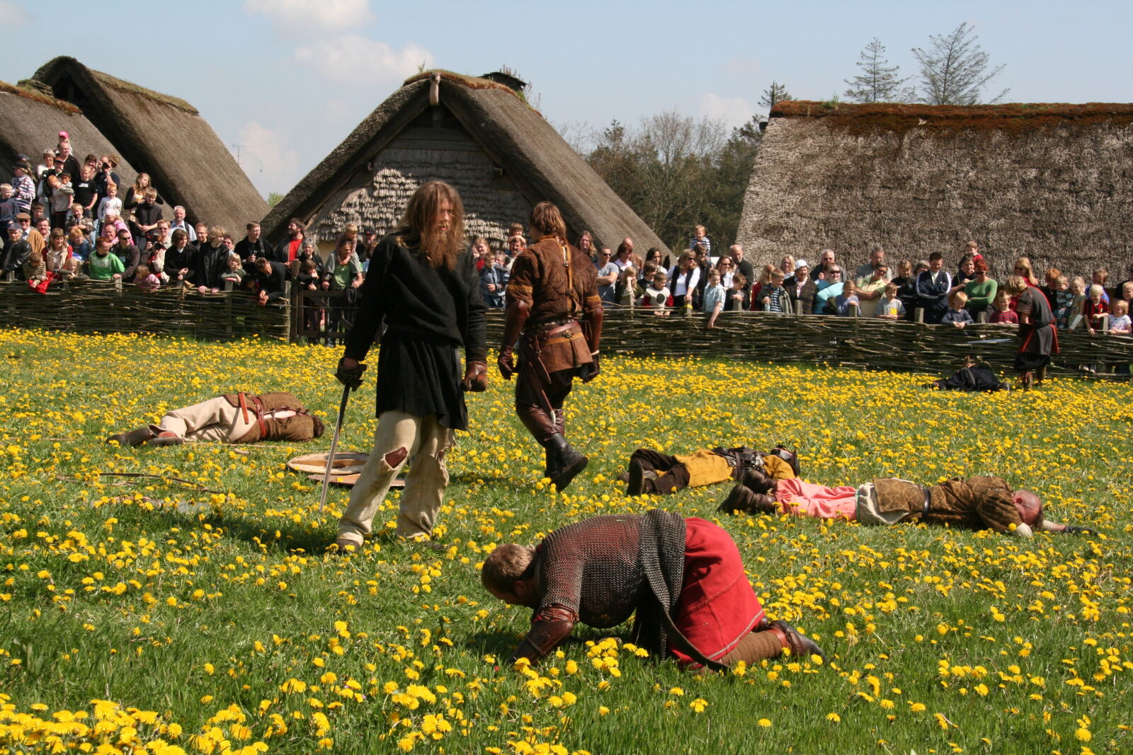 Sigma 18-200mm f/3.5-6.3 DC OS sample photo. Vikings photography