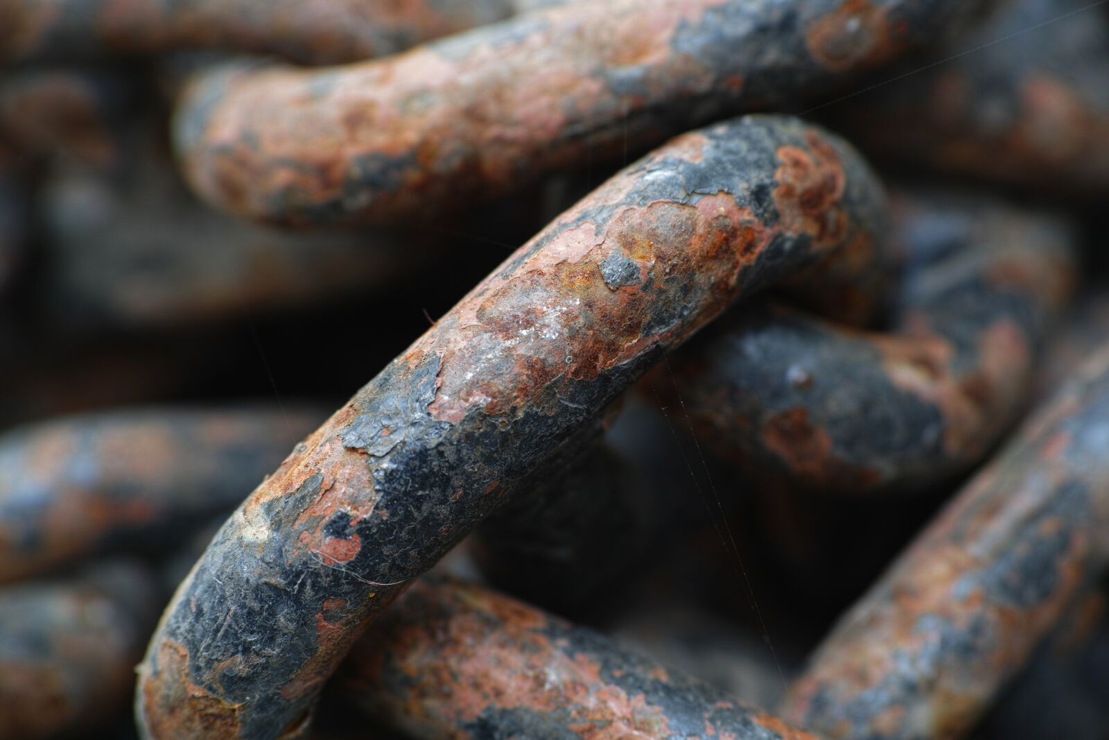 Sigma DP3 Merrill sample photo. Chain, rusty, macro photography