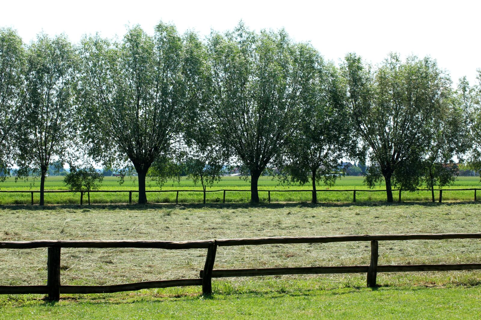 Canon EOS 1200D (EOS Rebel T5 / EOS Kiss X70 / EOS Hi) sample photo. View, landscape rural, nature photography