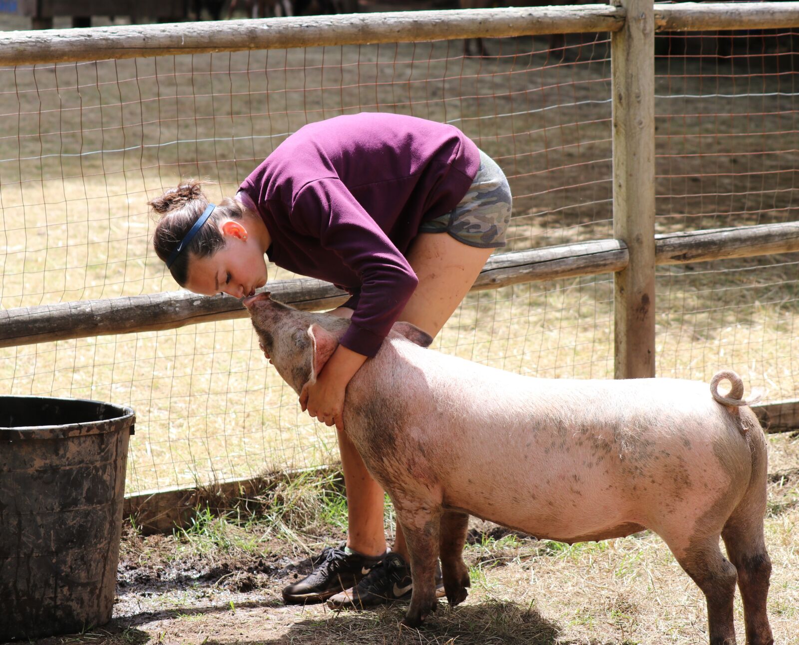 Canon EF 70-300 F4-5.6 IS II USM sample photo. Pig, kiss, petting photography