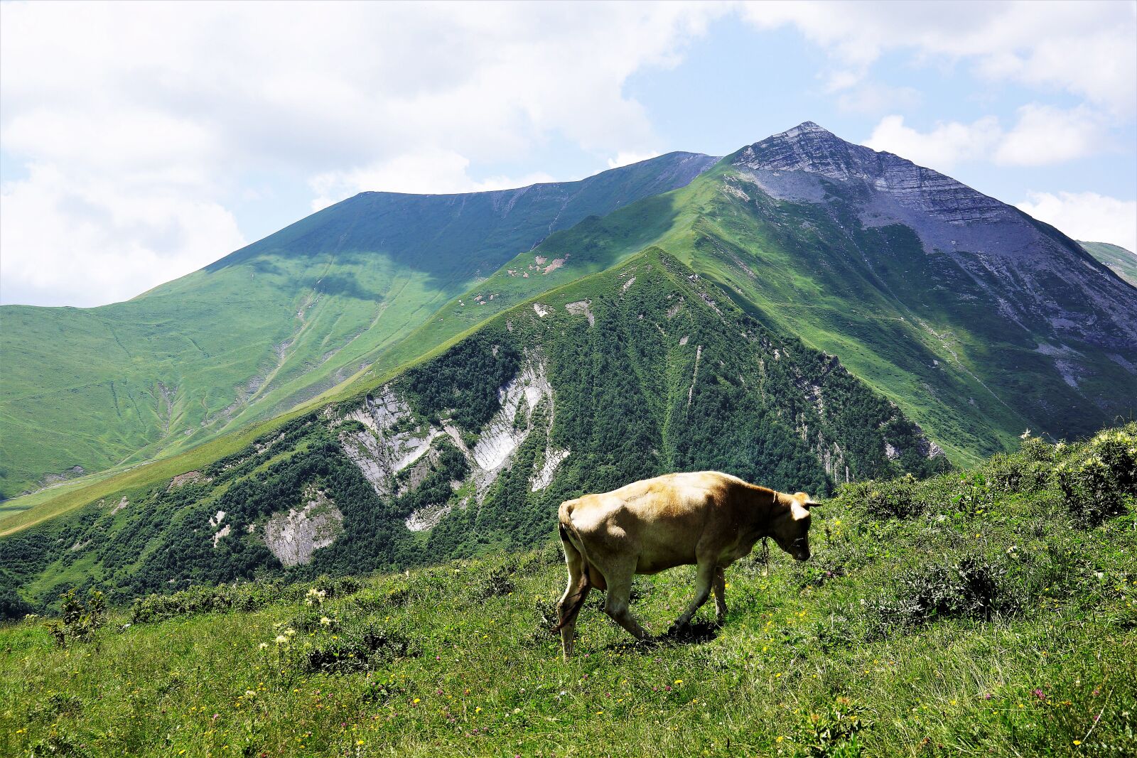 Sony Alpha NEX-7 sample photo. Mountains, northern, georgia photography