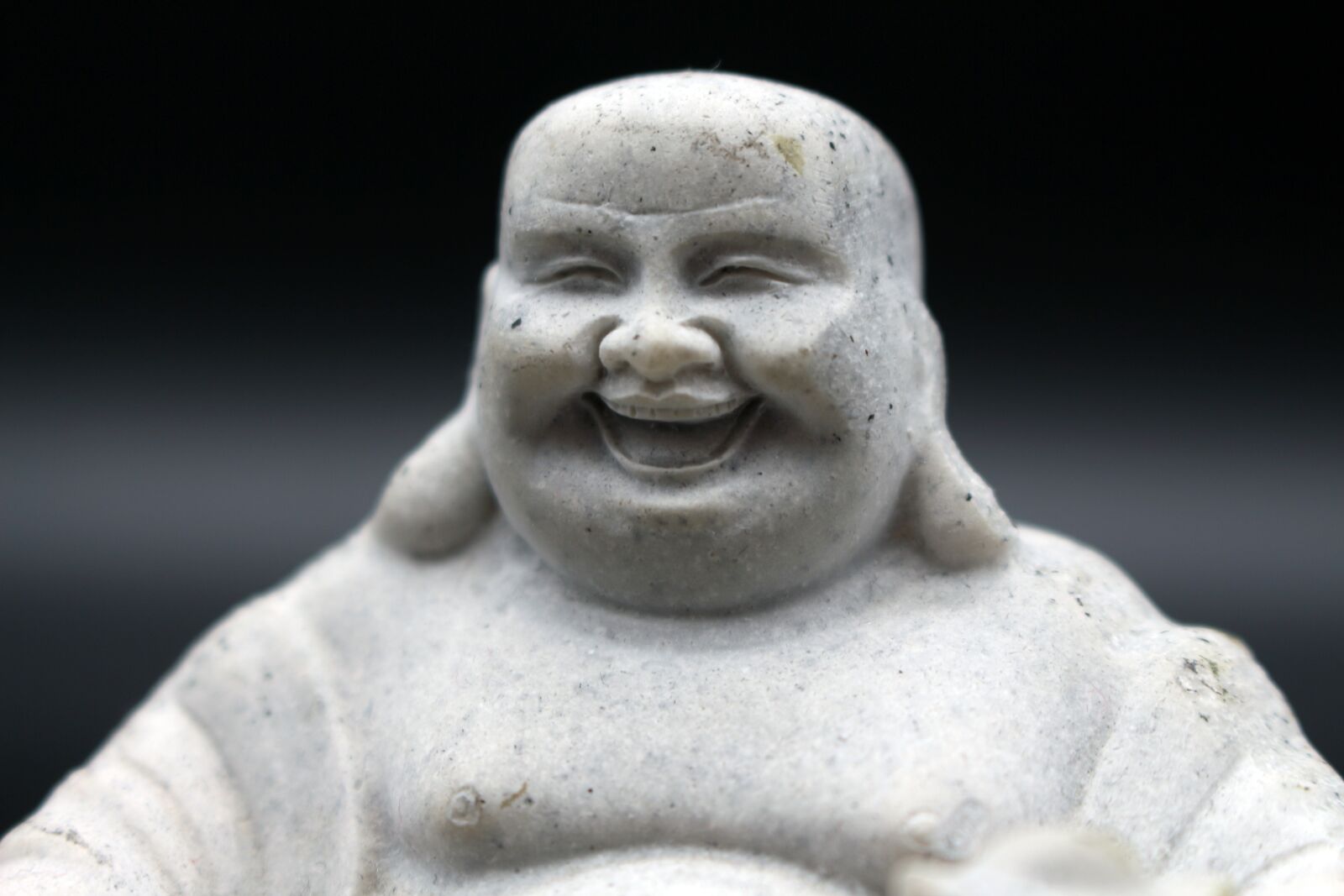 Canon EOS 700D (EOS Rebel T5i / EOS Kiss X7i) sample photo. Buddah, laugh, look forward photography