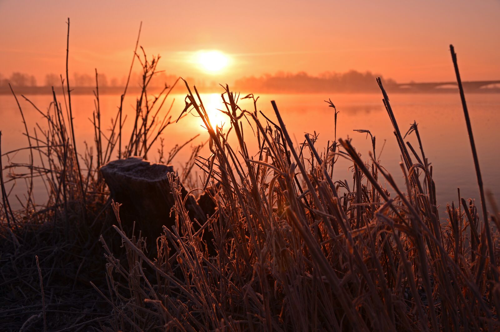 Nikon D3200 sample photo. Grasses, bank, riverside photography