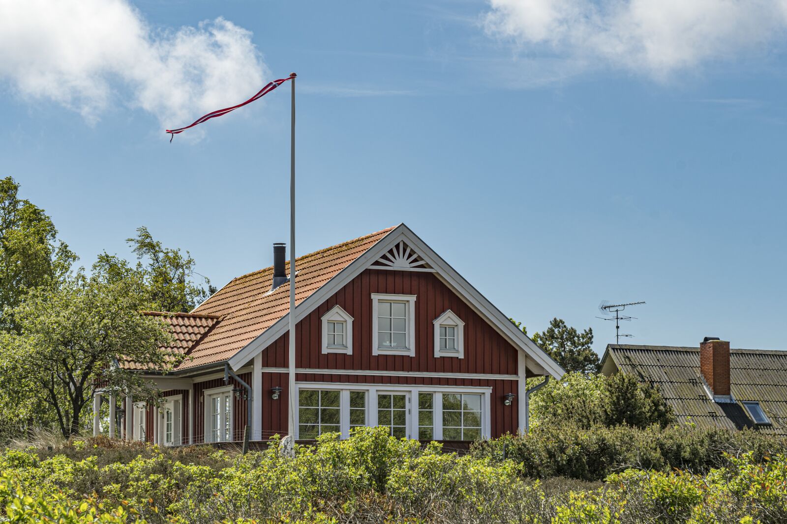 Nikon D500 sample photo. House, denmark, flag photography