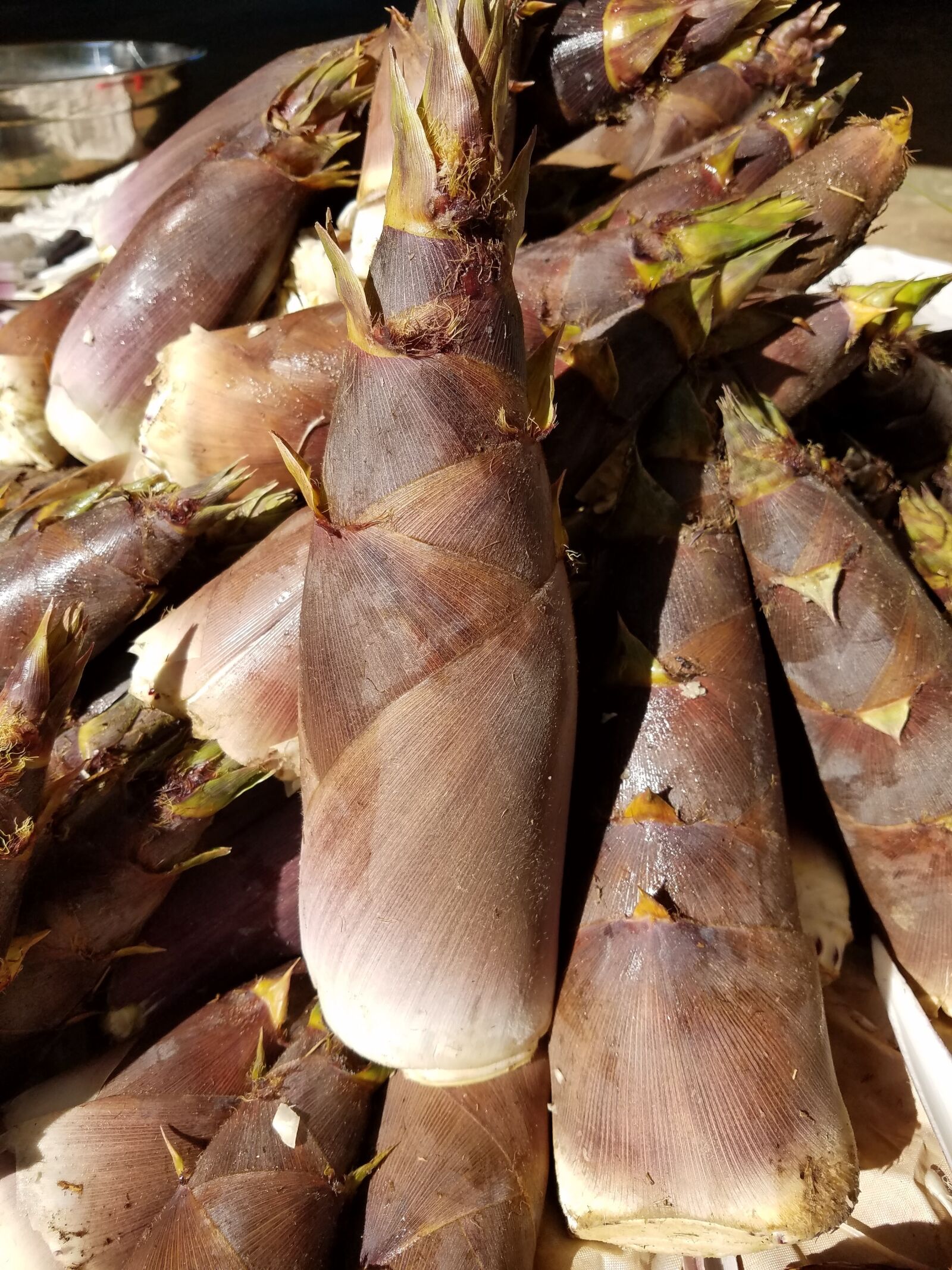 Samsung Galaxy S7 sample photo. Nc bamboo shoot, edible photography