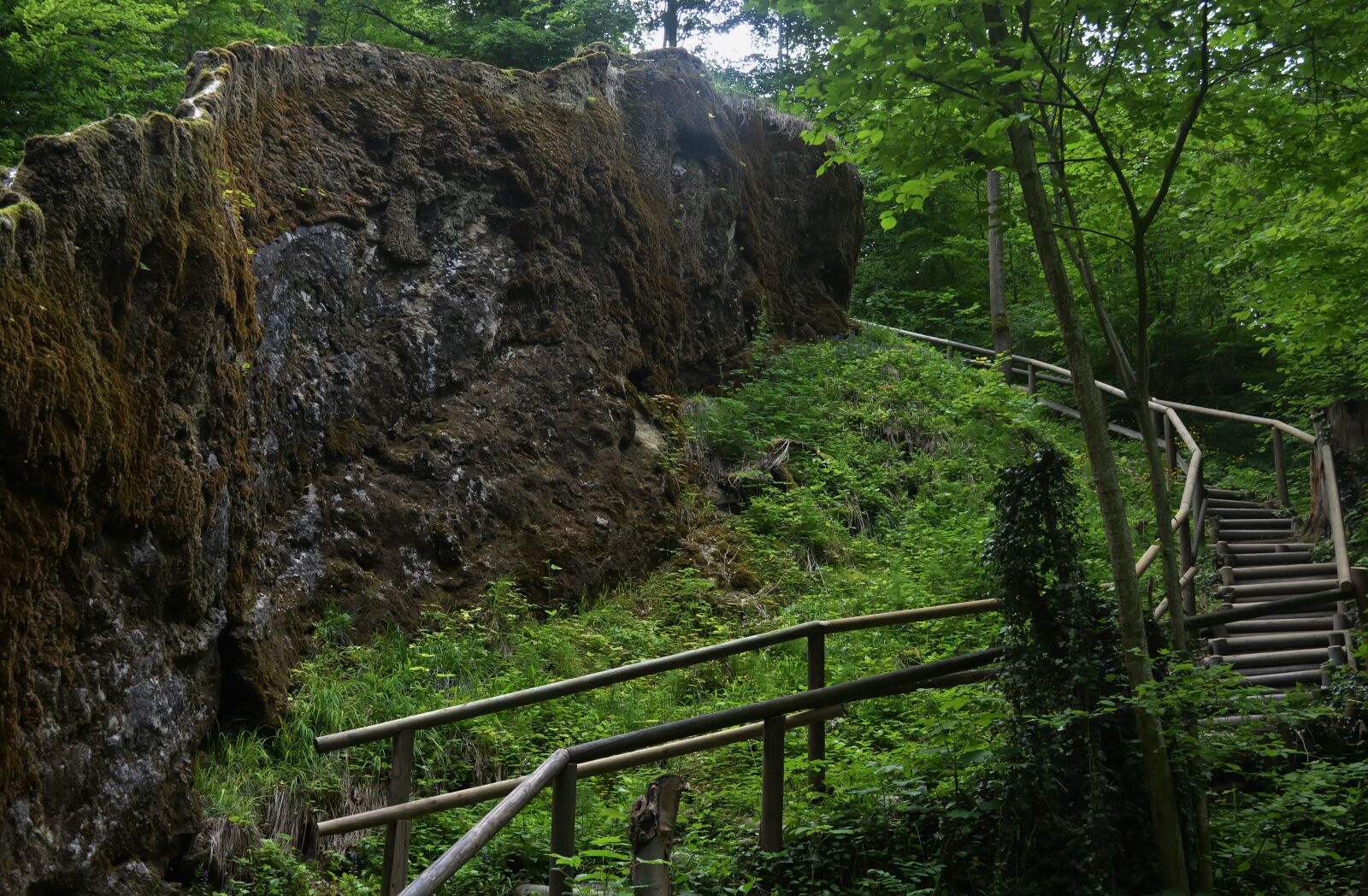 Nikon D5200 sample photo. Wachsender felsen, landau an photography